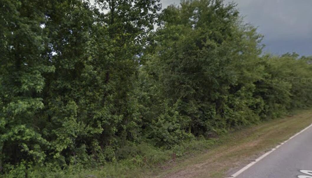 Homes for sale in Wrens, GA | 00 Ga Hwy 80 E, Wrens, GA 30833 | MLS# 510244