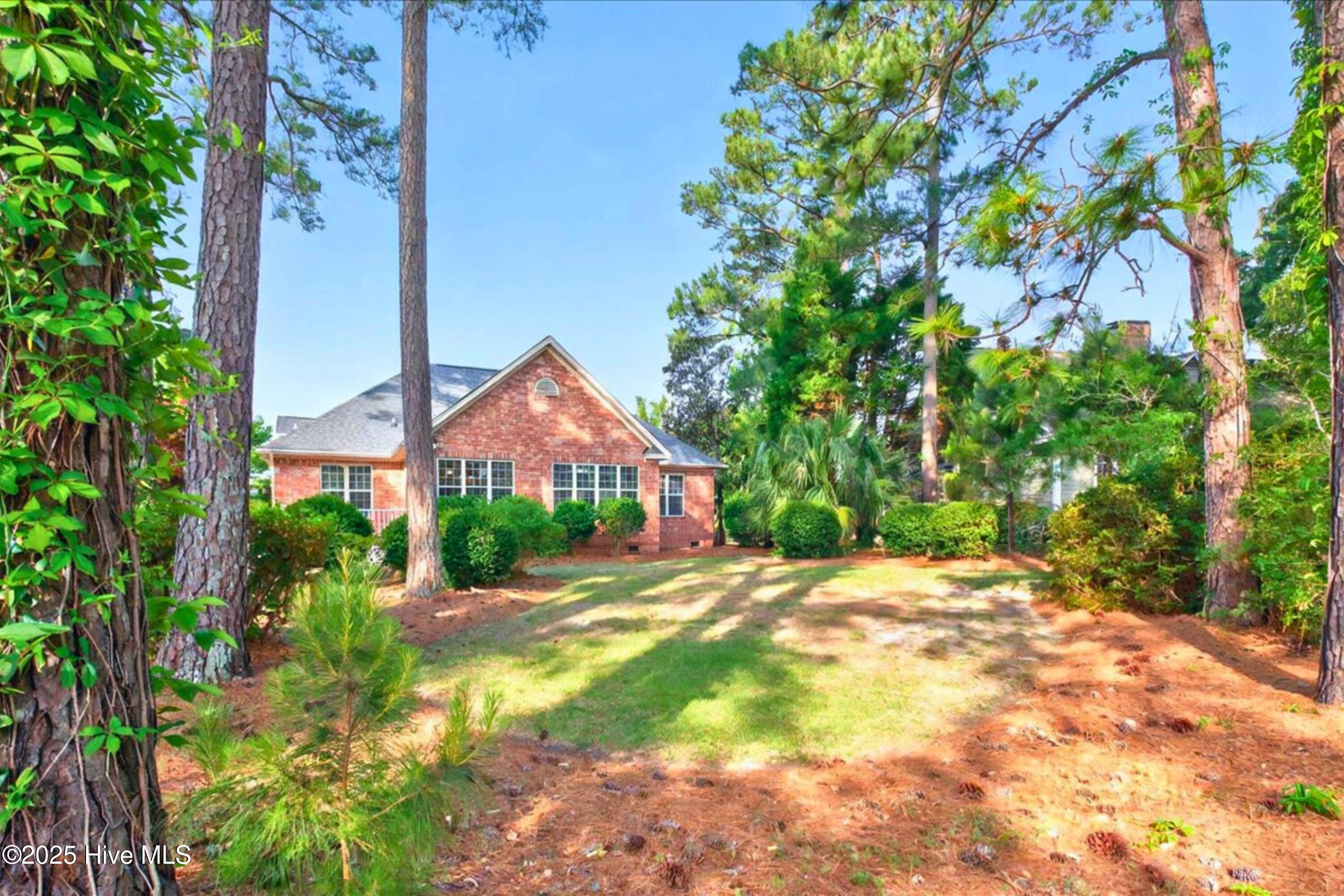 100506525 | Photo 38