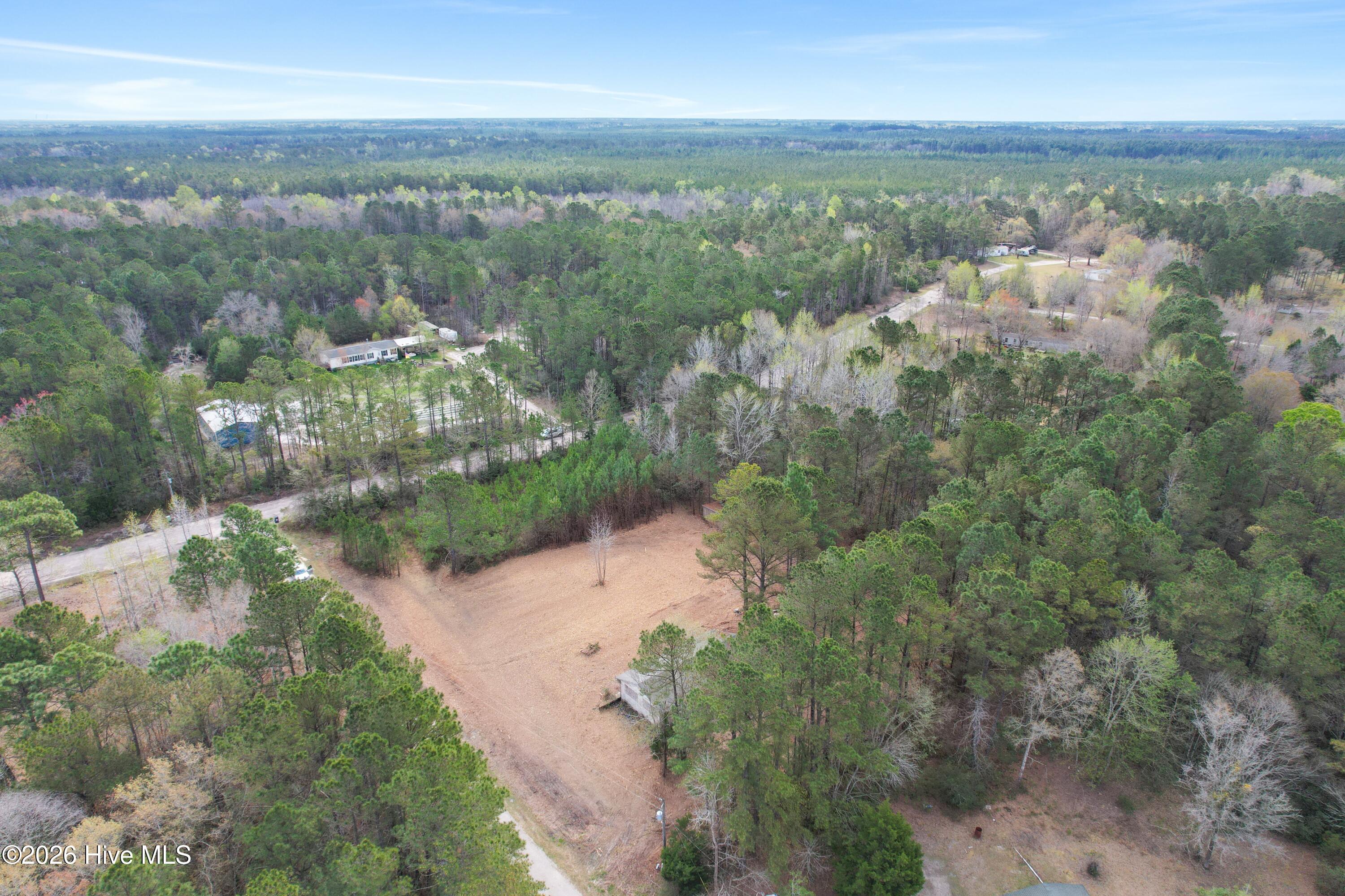 100563116 | Photo 17