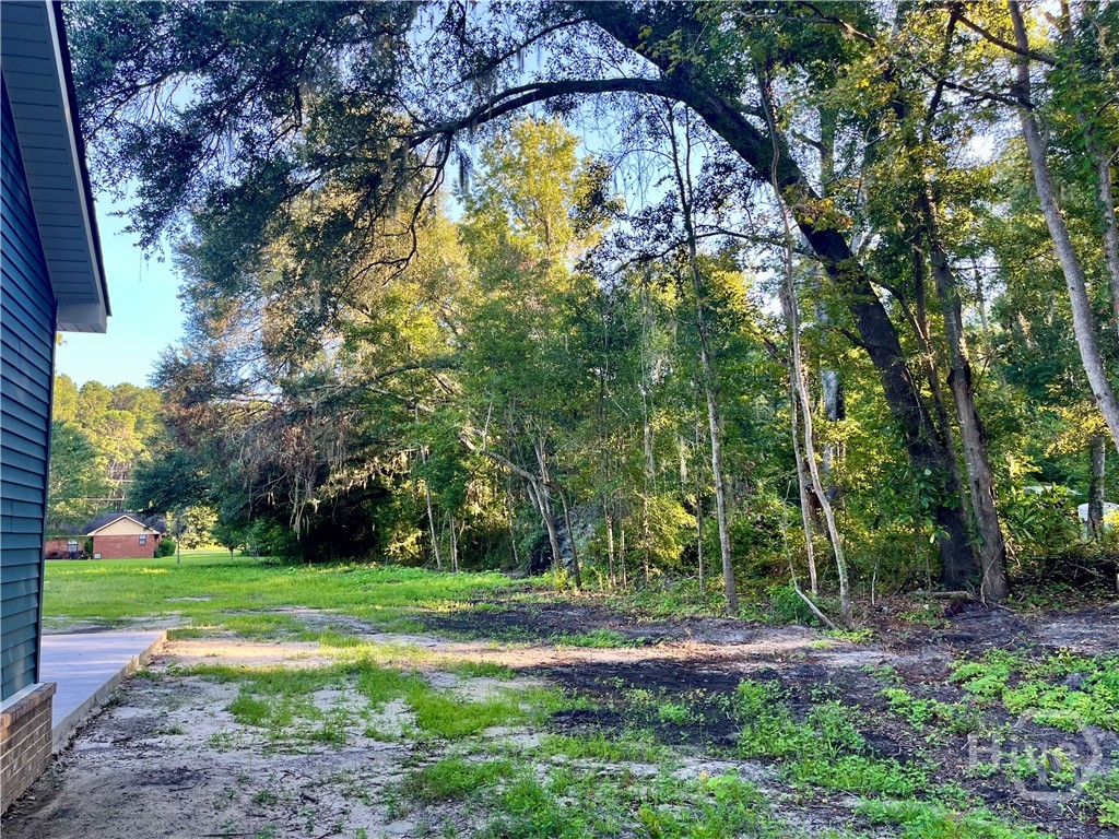 Shaded back patio and yard
