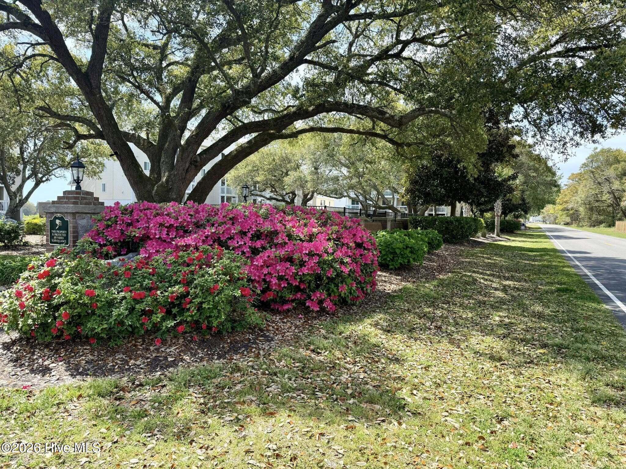 100552008 | Photo 35