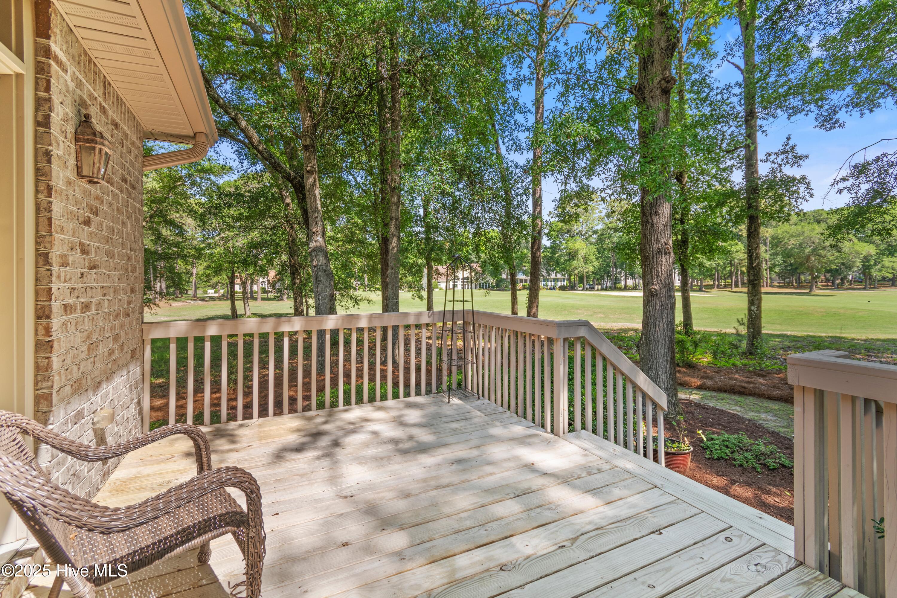 100509392 | Photo 46