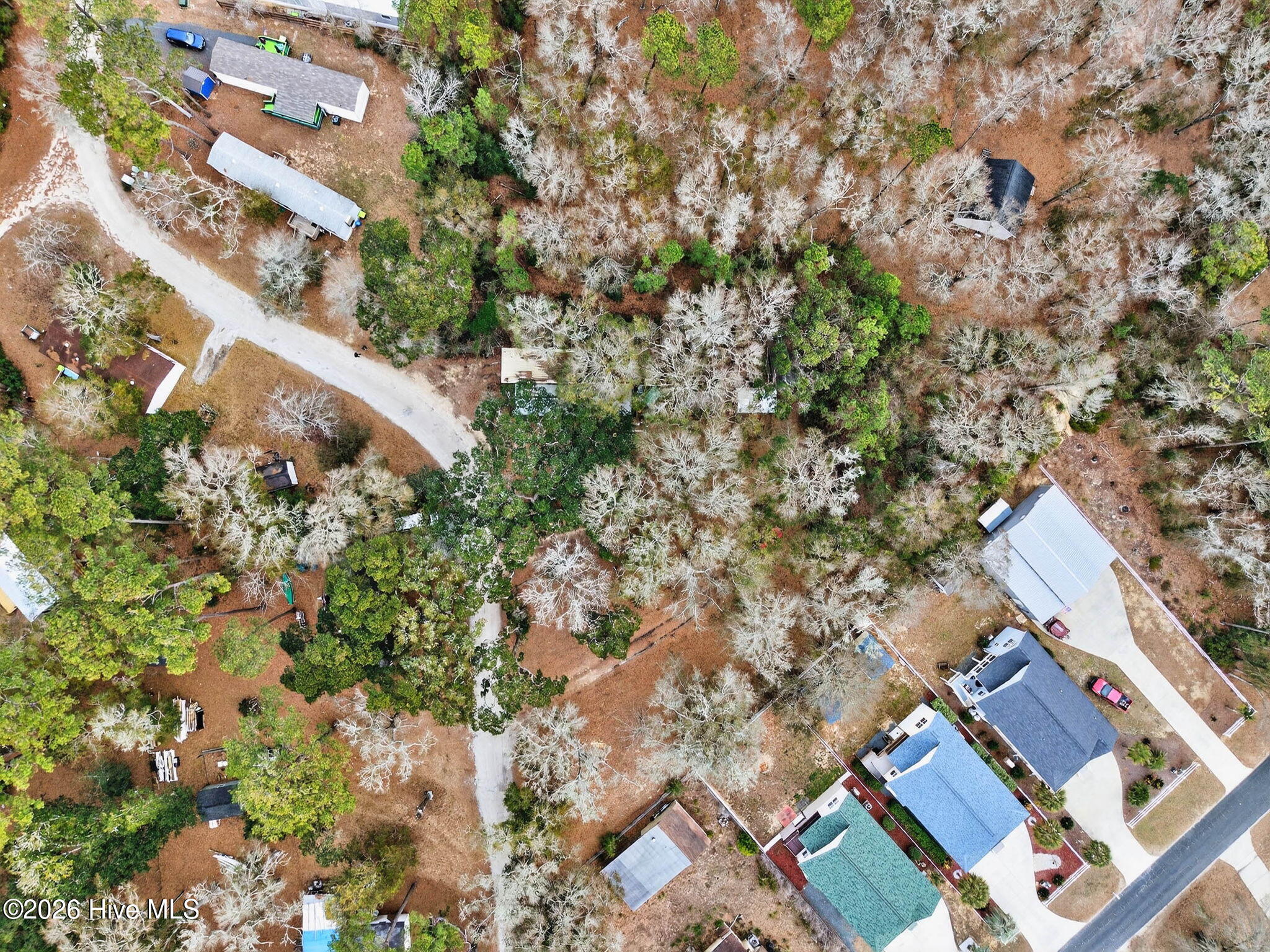 100558205 | Photo 14