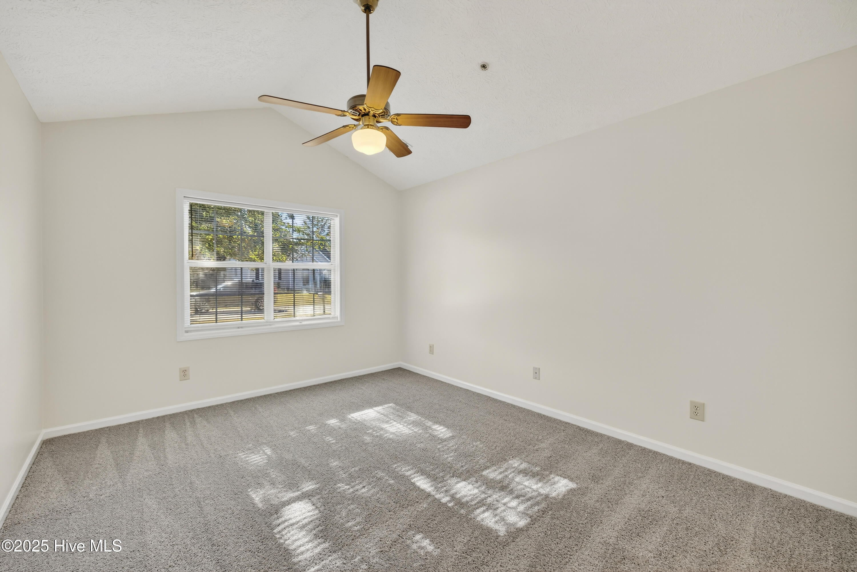 100541099 | Photo 21