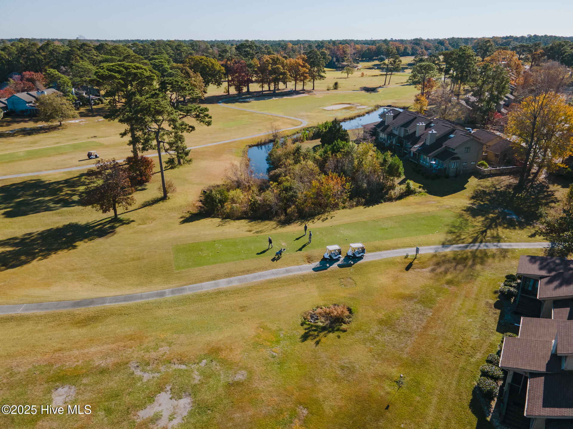 100526390 | Photo 58