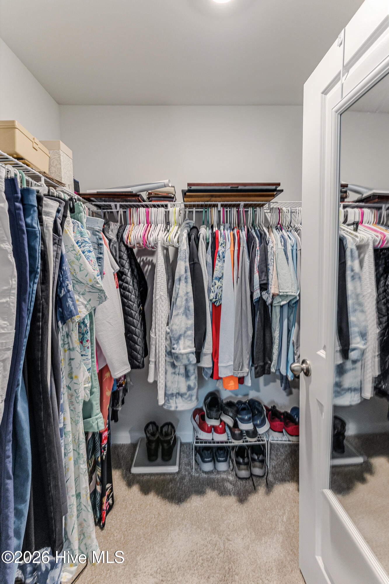 100560906 | Photo 27