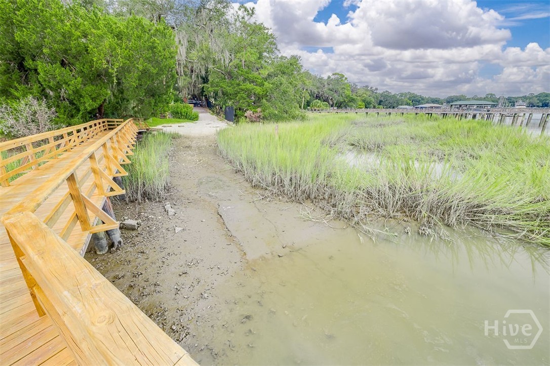 Dock/marsh