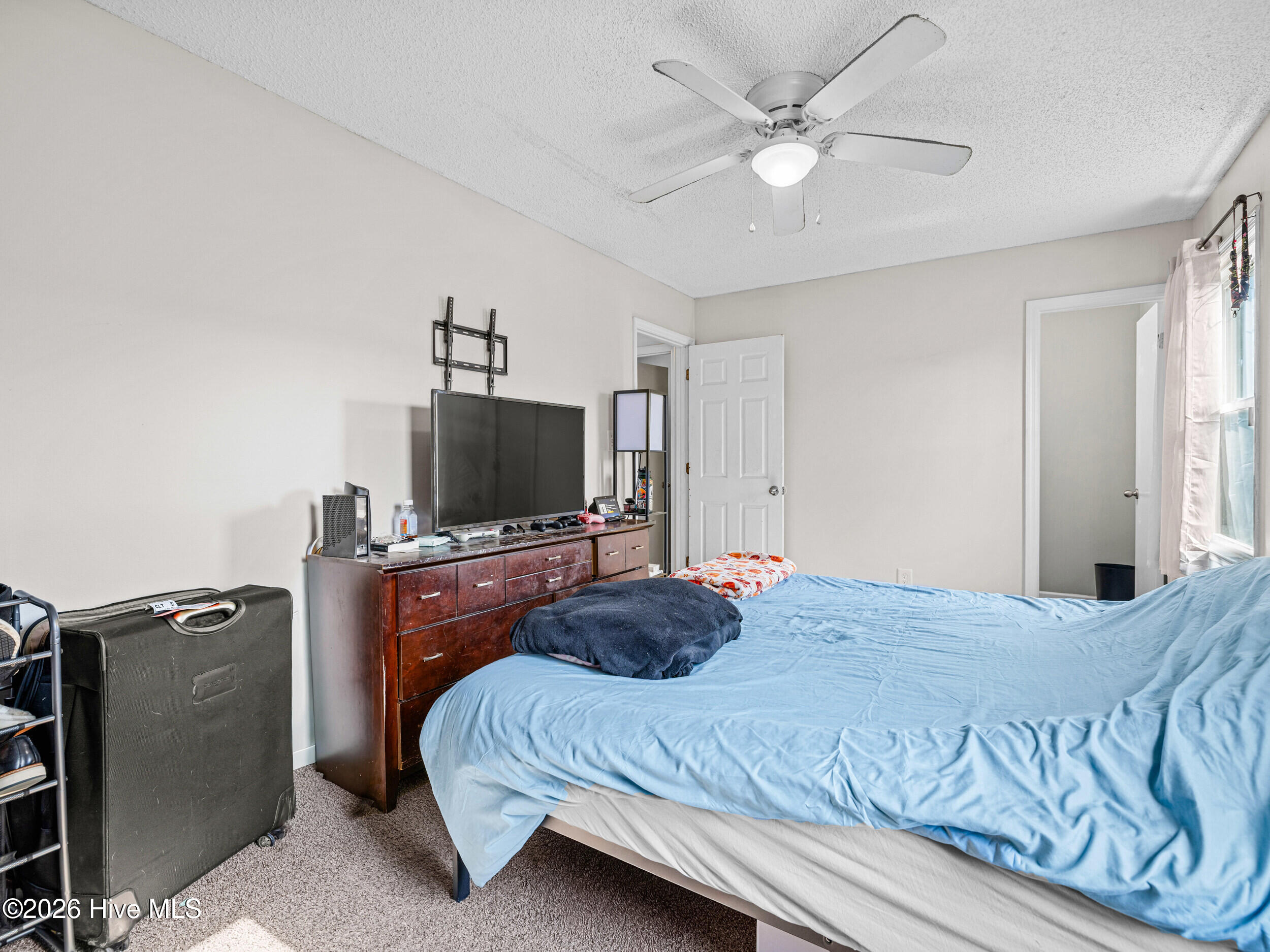 100563699 | Photo 16