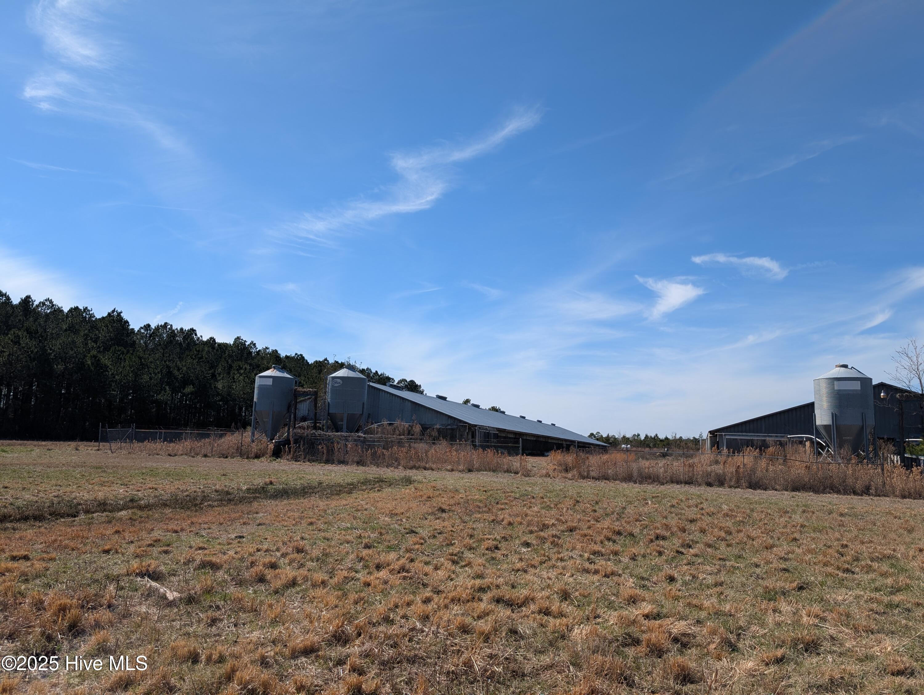 PXL_20250218_175744749