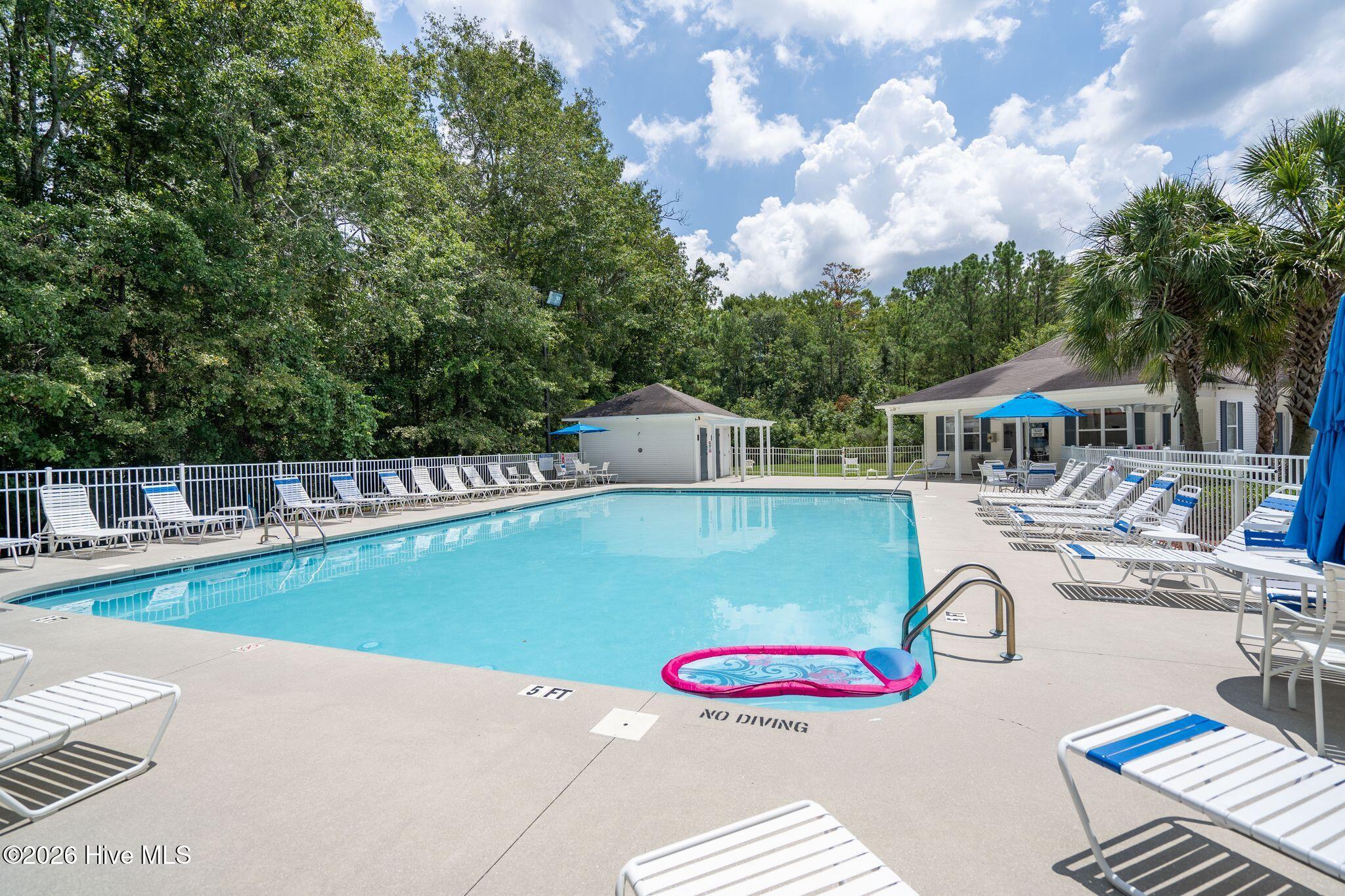 100570513 | Photo 52