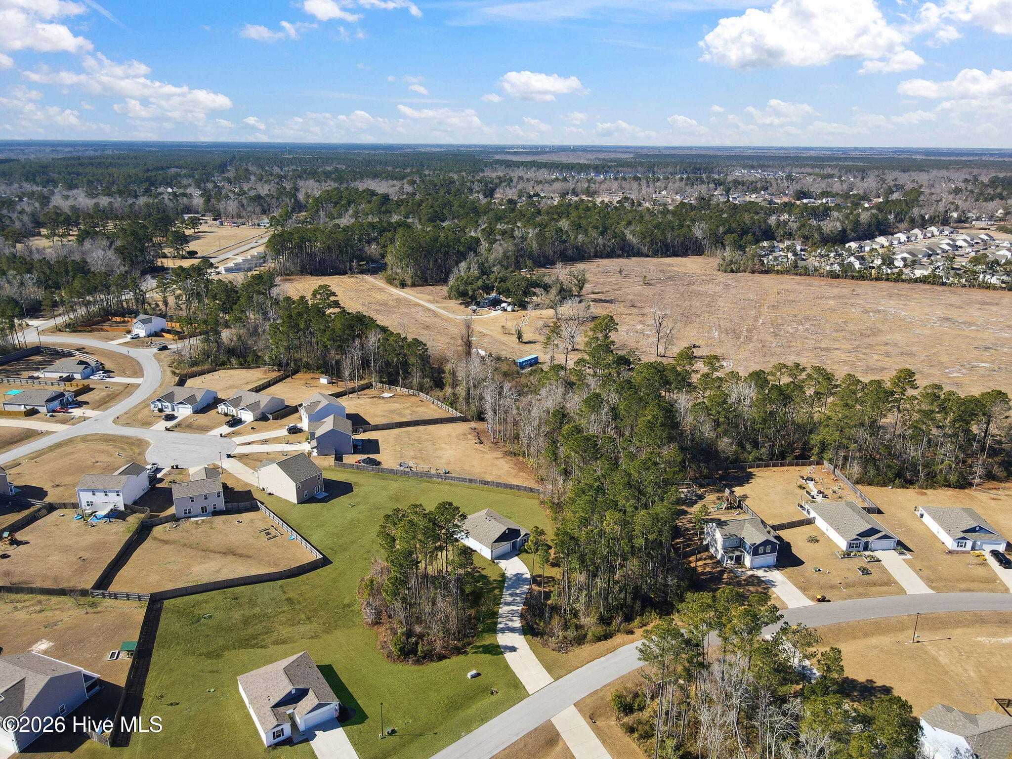 100553994 | Photo 47