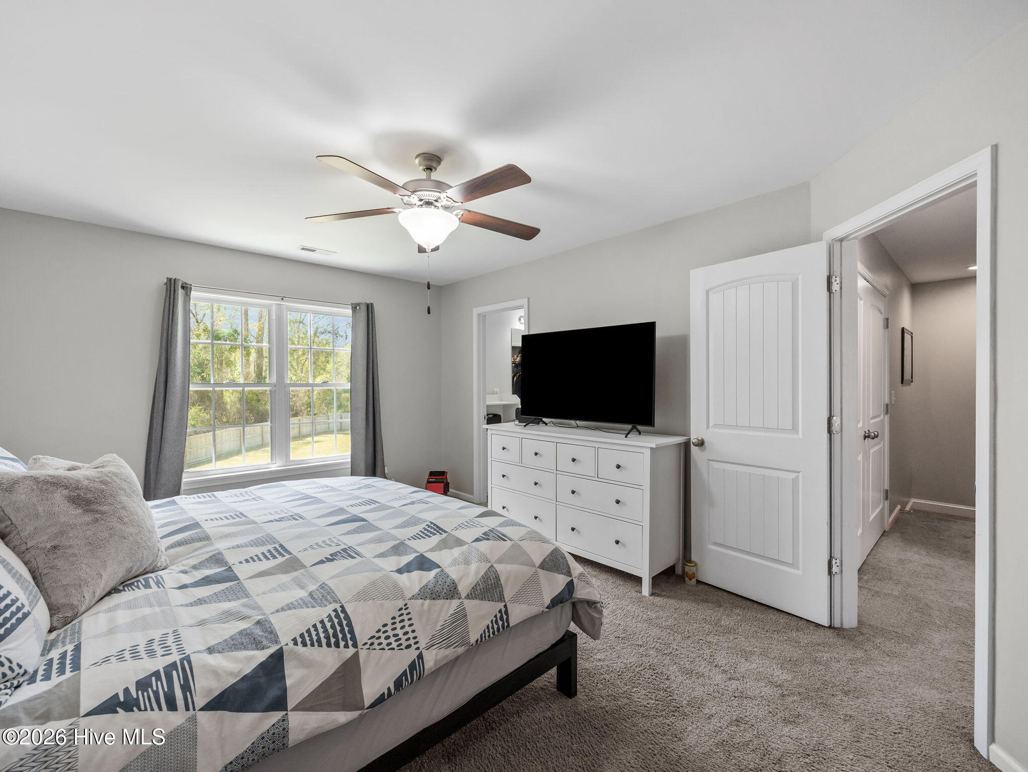 100564221 | Photo 24