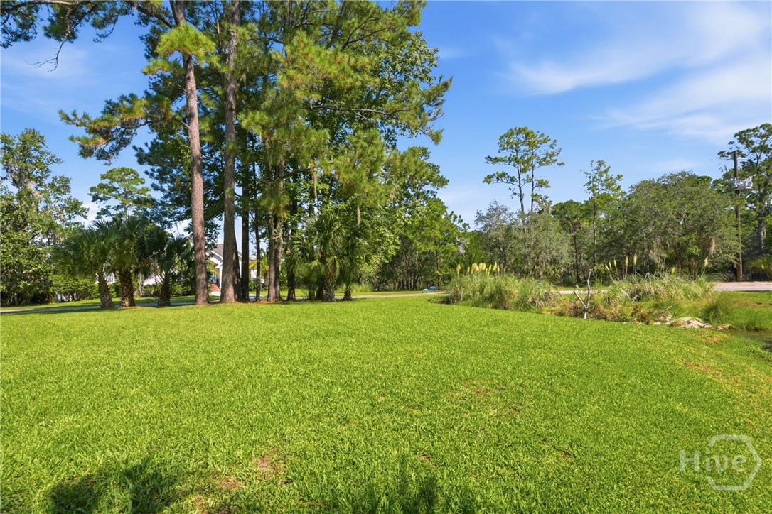 Side Yard