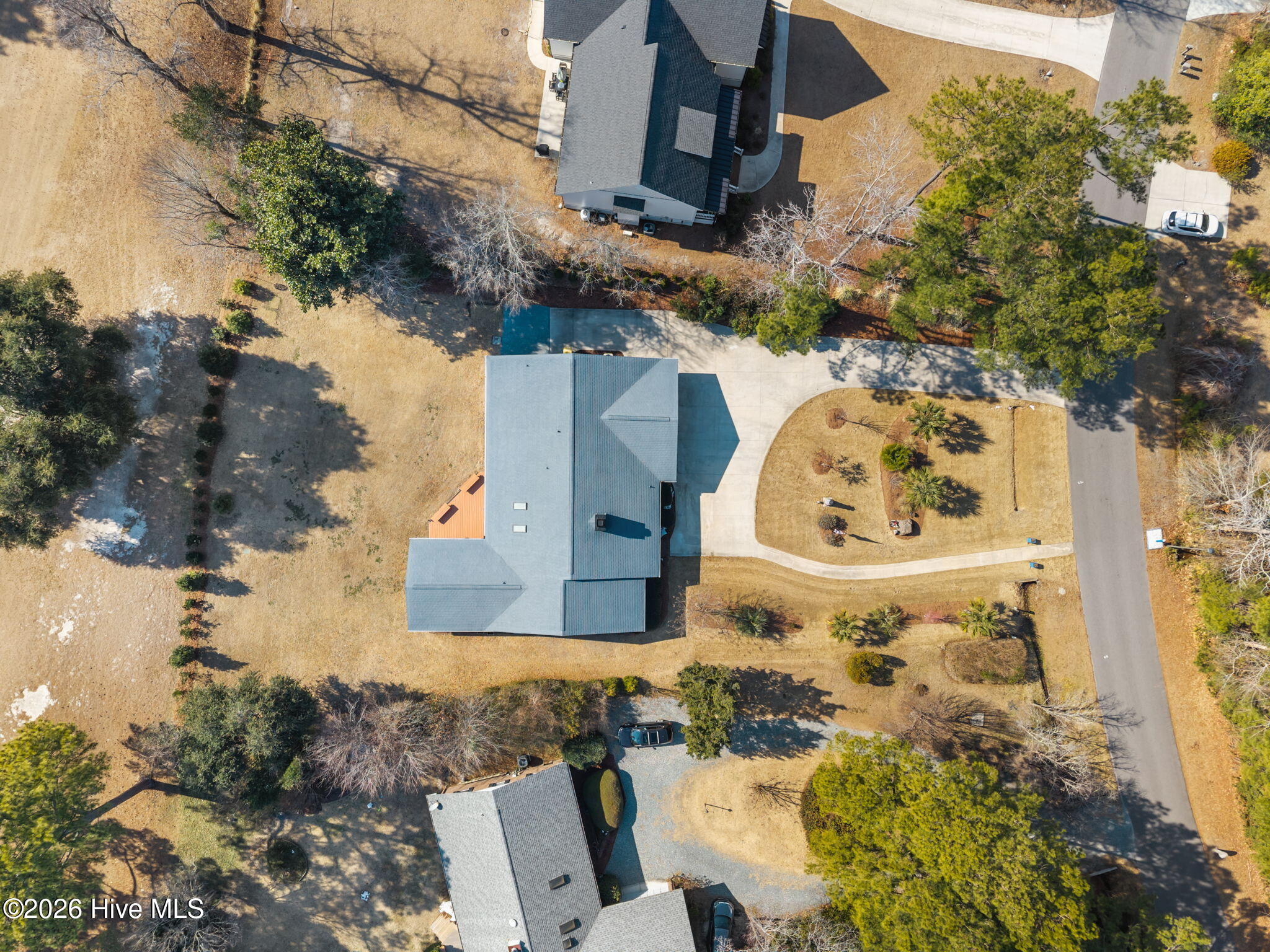 100554054 | Photo 11