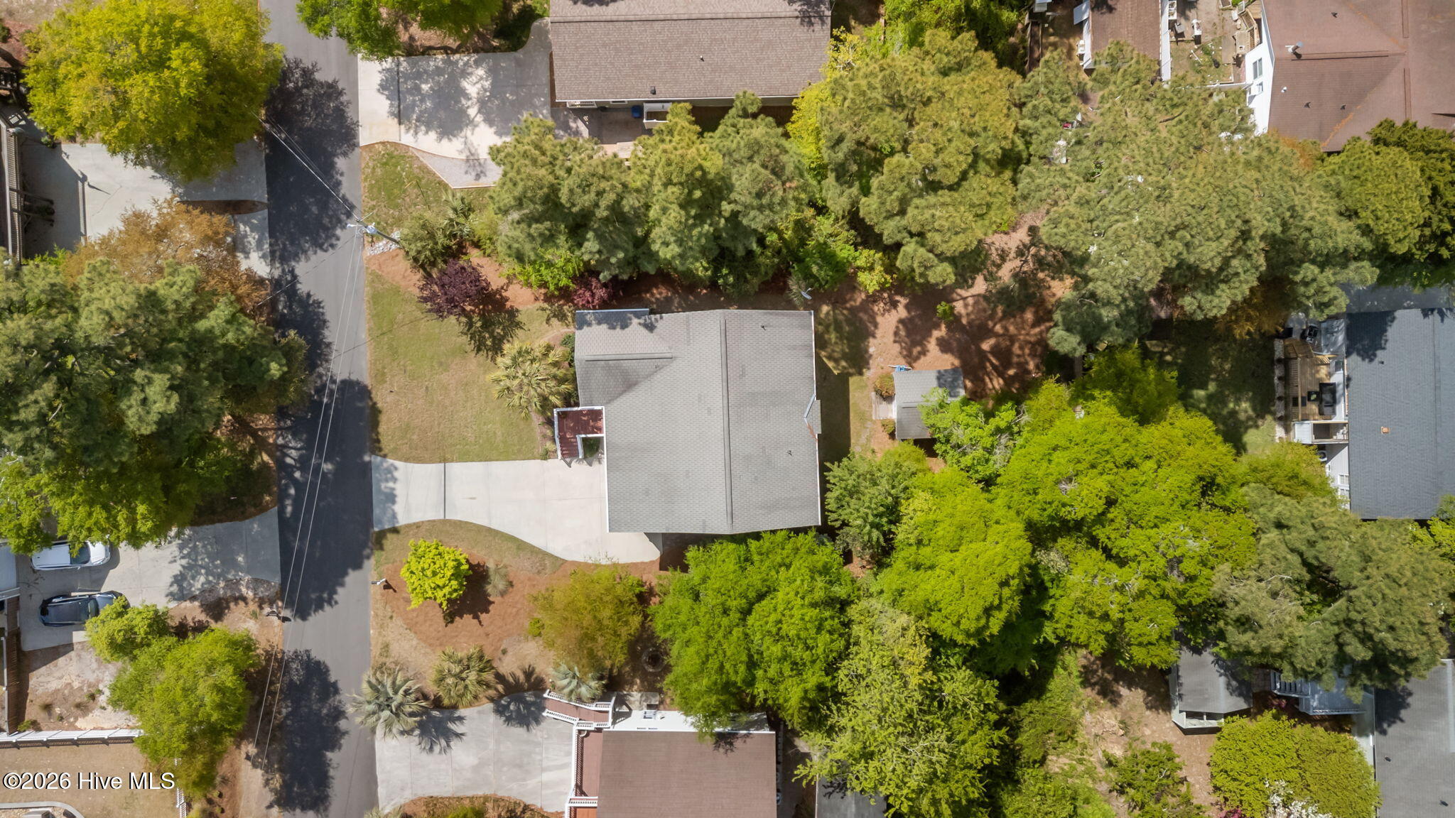 100562020 | Photo 43