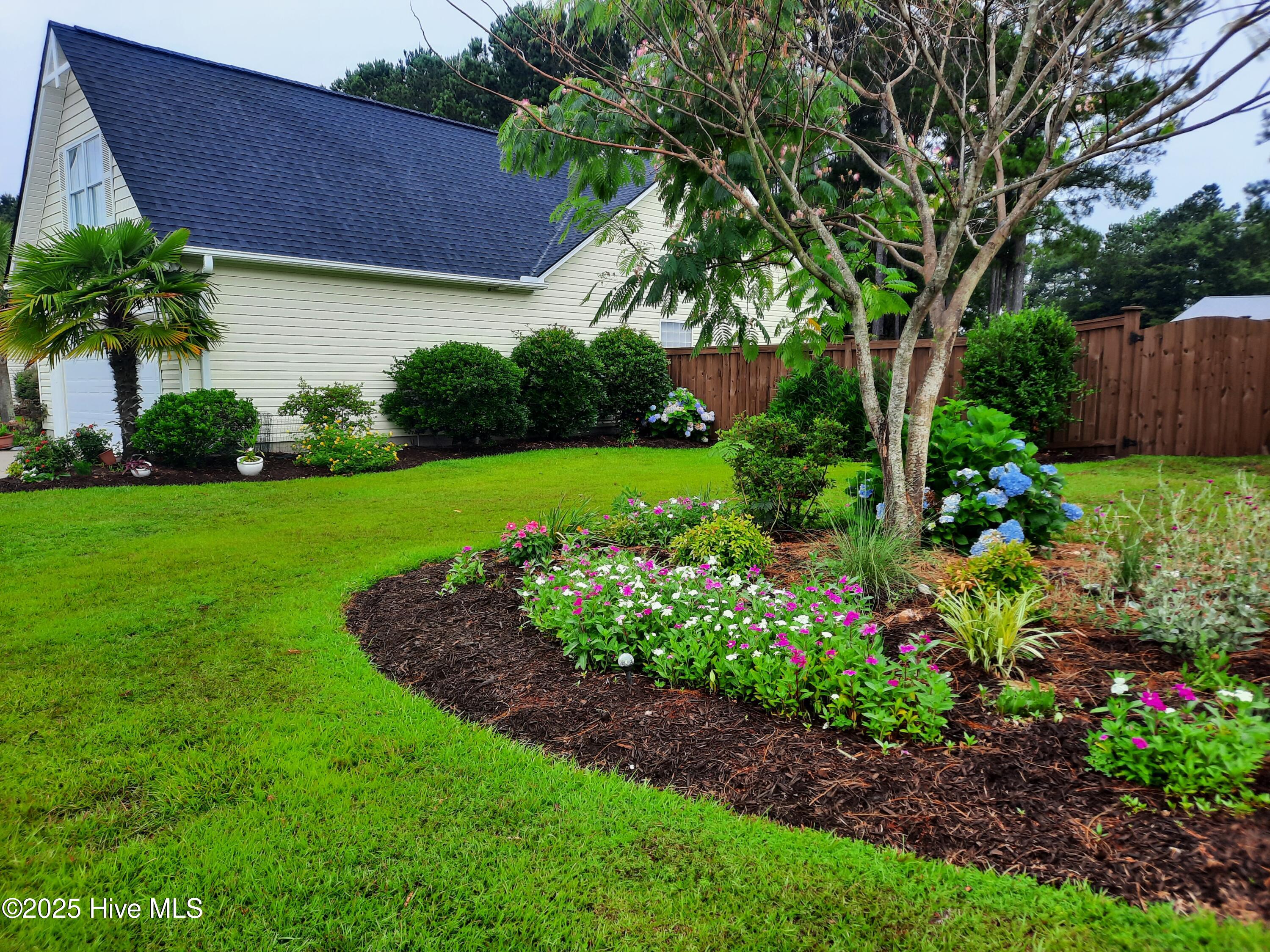 100525052 | Photo 35