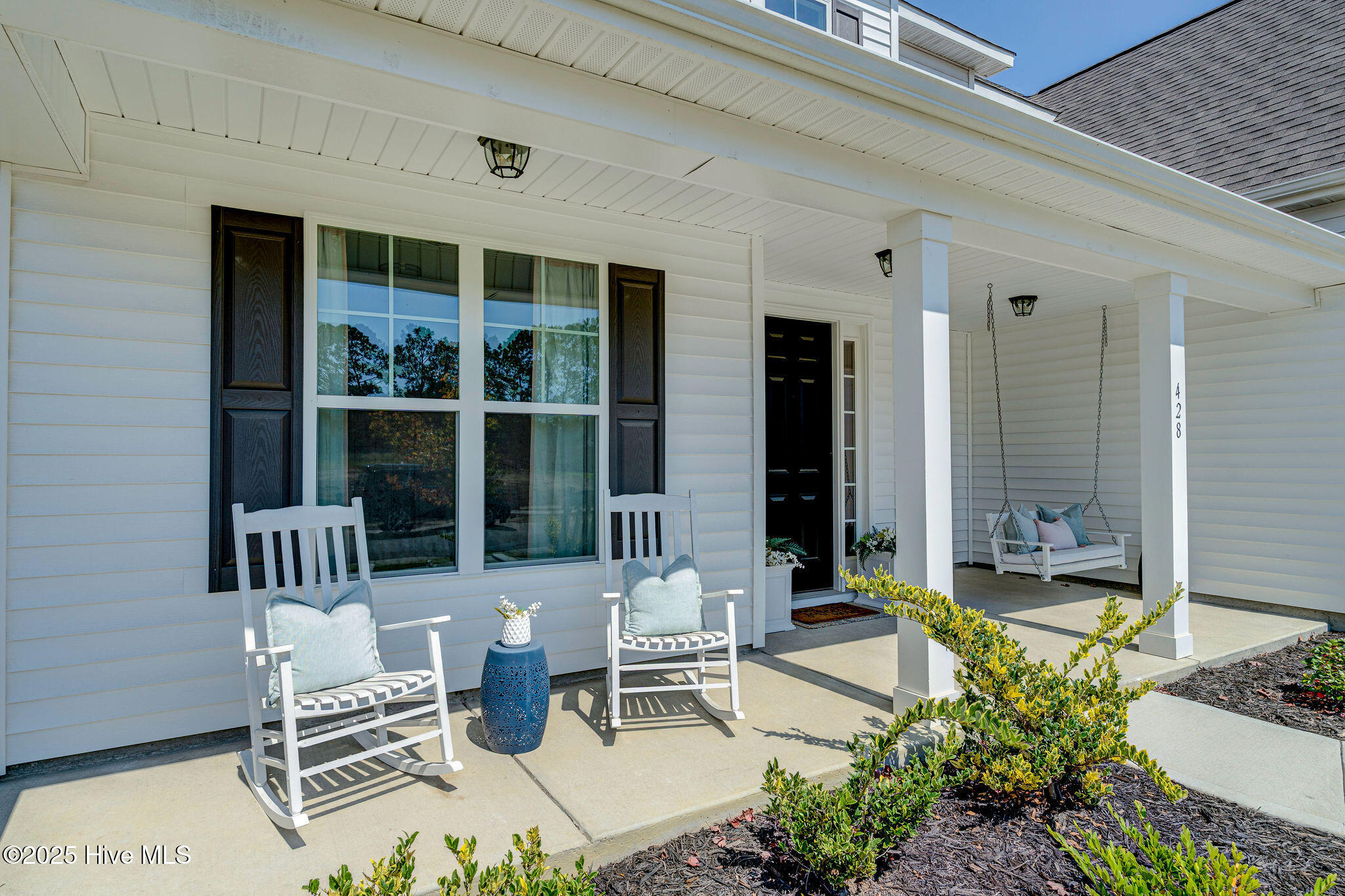 428NorthernPintailFinal-8