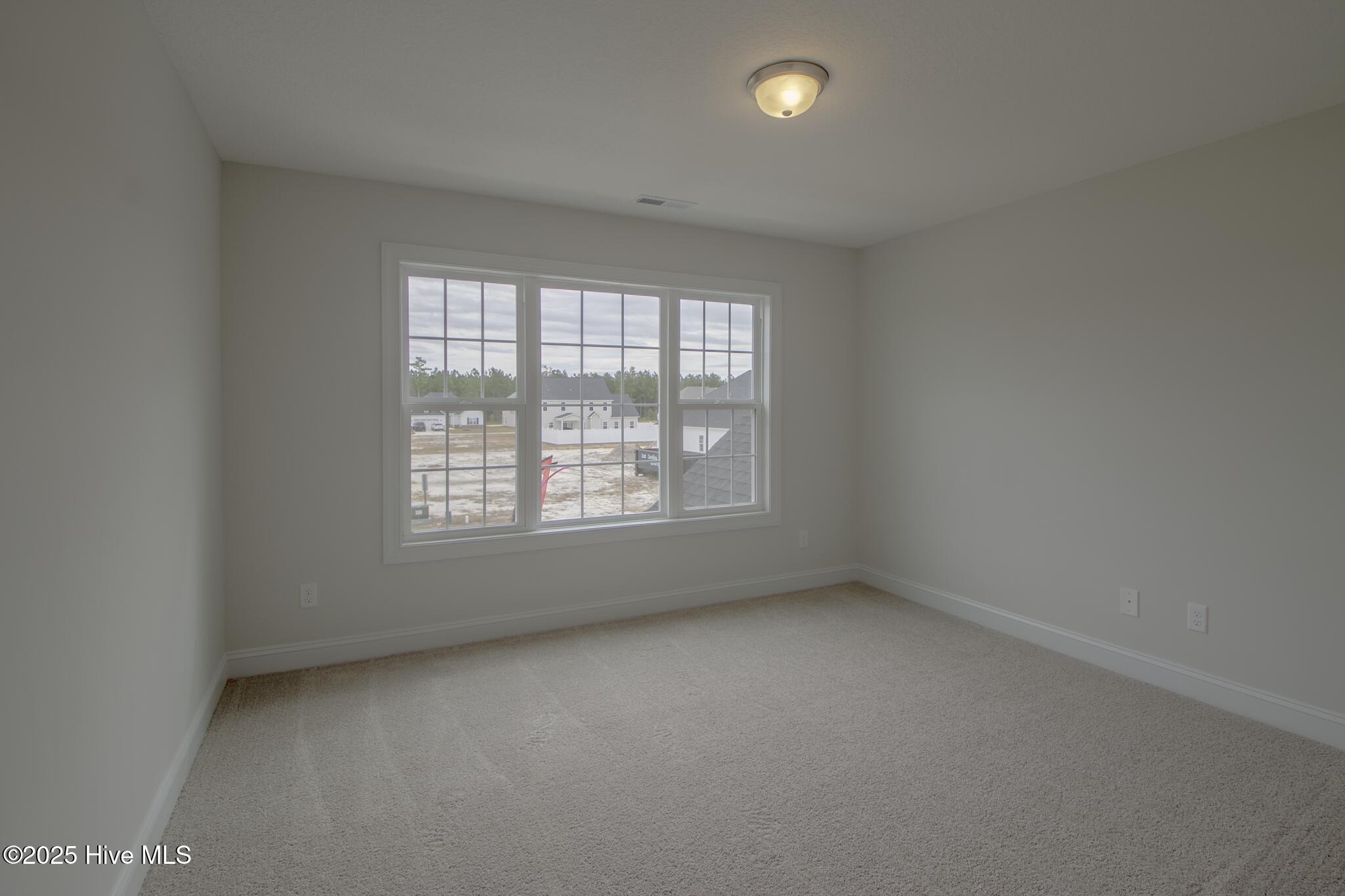 100509462 | Photo 21