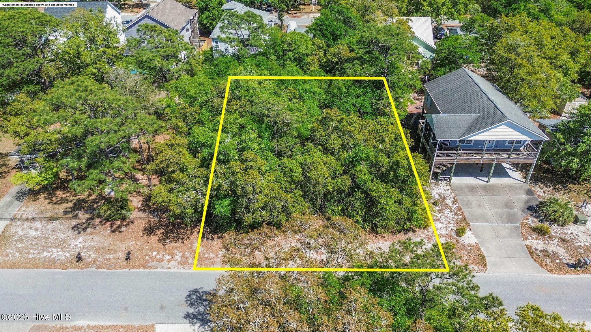 100569919 | Photo 10