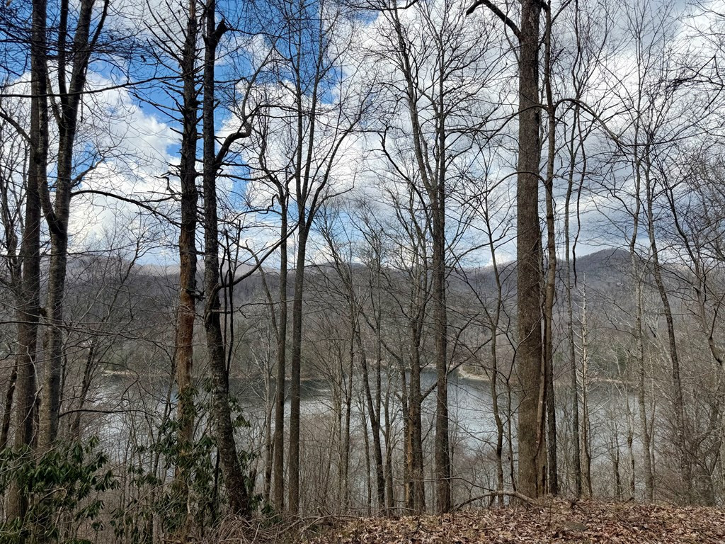 Homes for sale in Nantahala, NC | Lot# 38 Nantahala Shores Rd, Nantahala, NC 28781 | MLS# 98500049