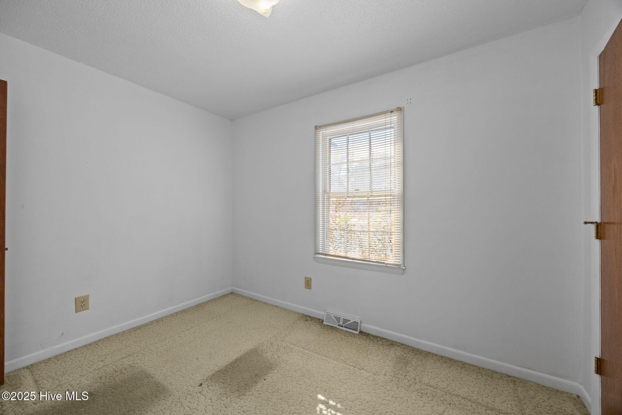 100542323 | Photo 15