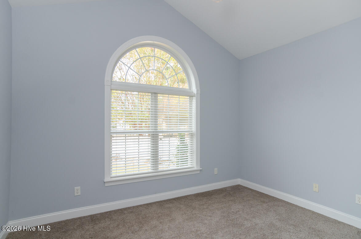 100553134 | Photo 24