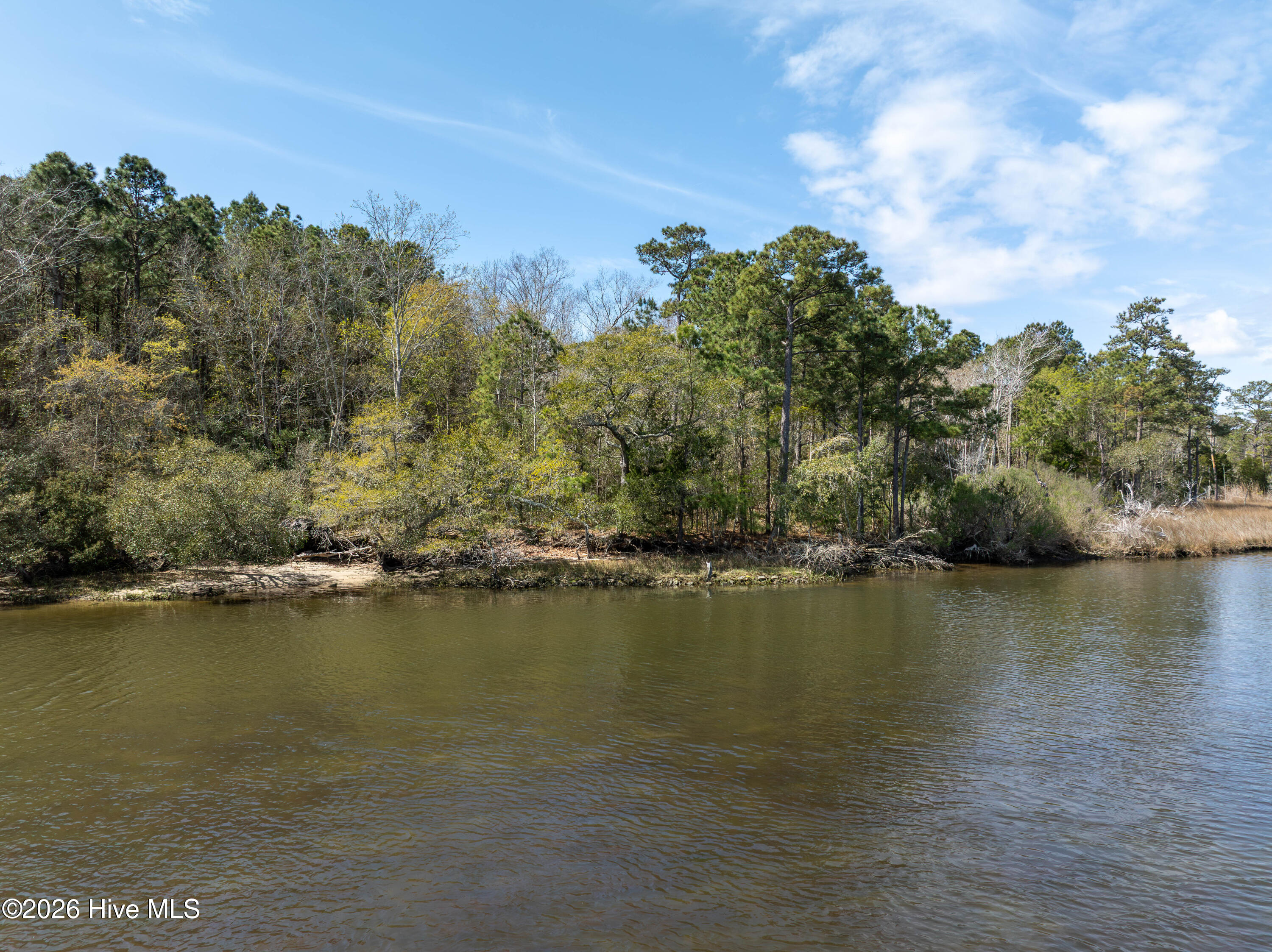 100564032 | Photo 20