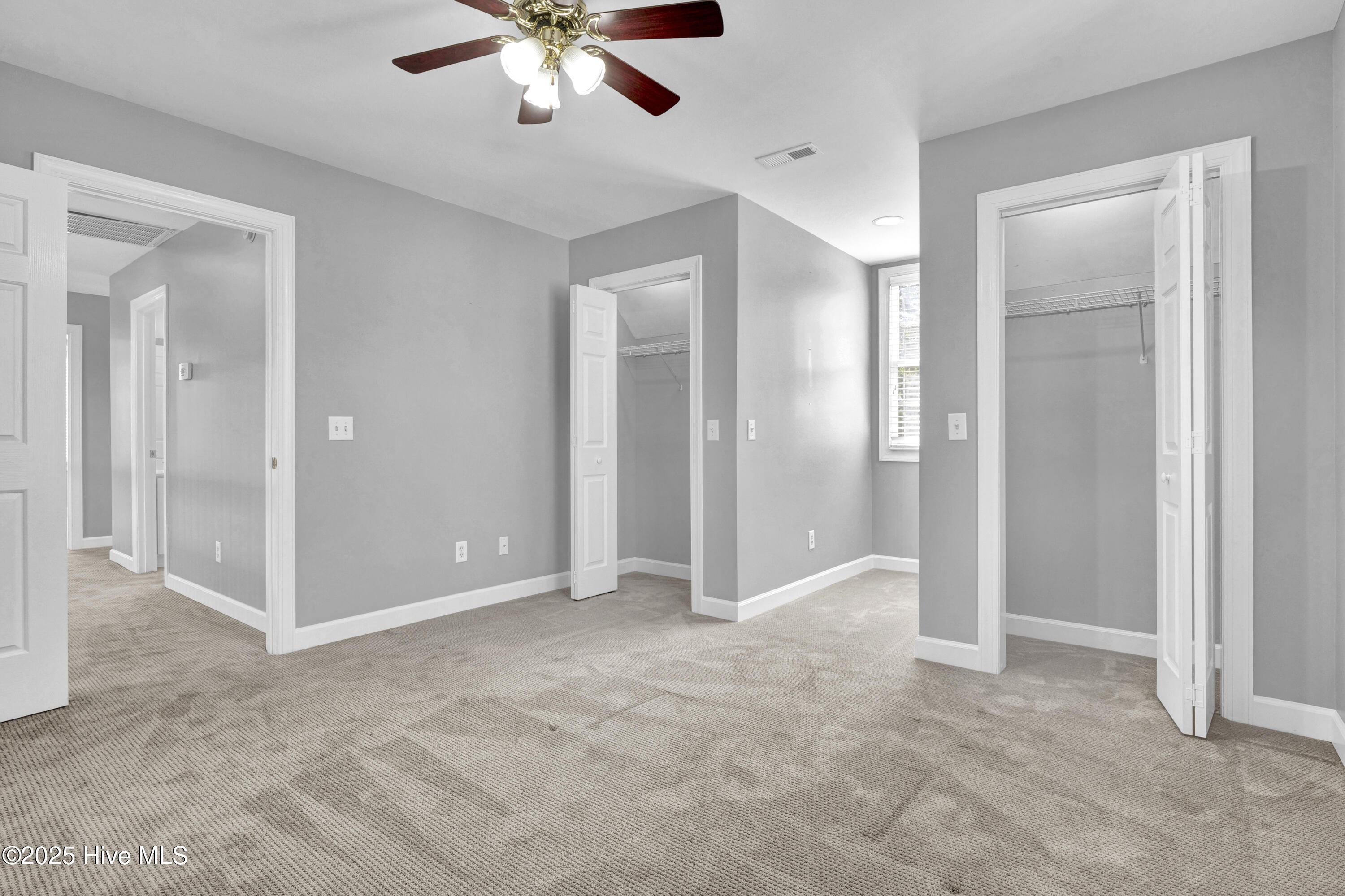 100535458 | Photo 42