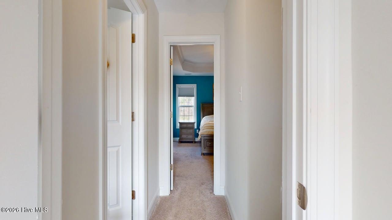 100559216 | Photo 44