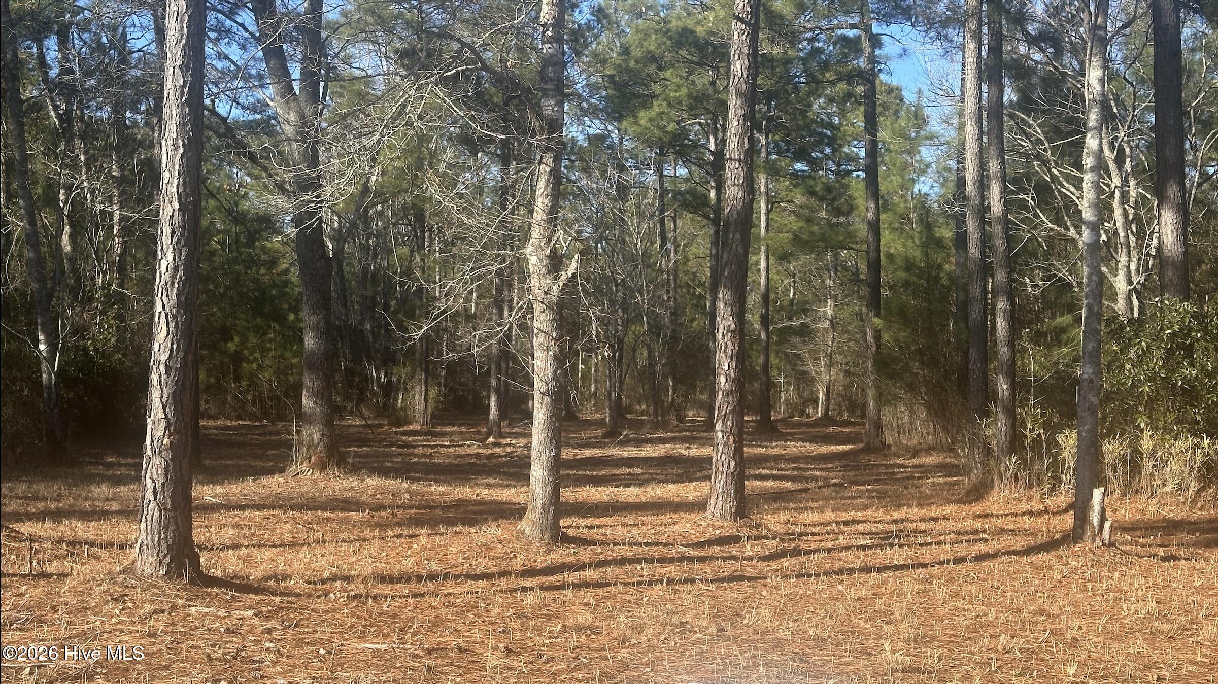 Homes for sale in Vandemere, NC | 625 Vandemere Creek Dr, Vandemere, NC 28587 | MLS# 100541928