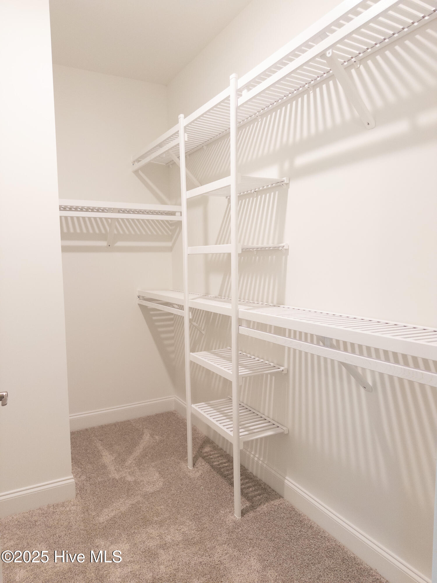 100501651 | Photo 13