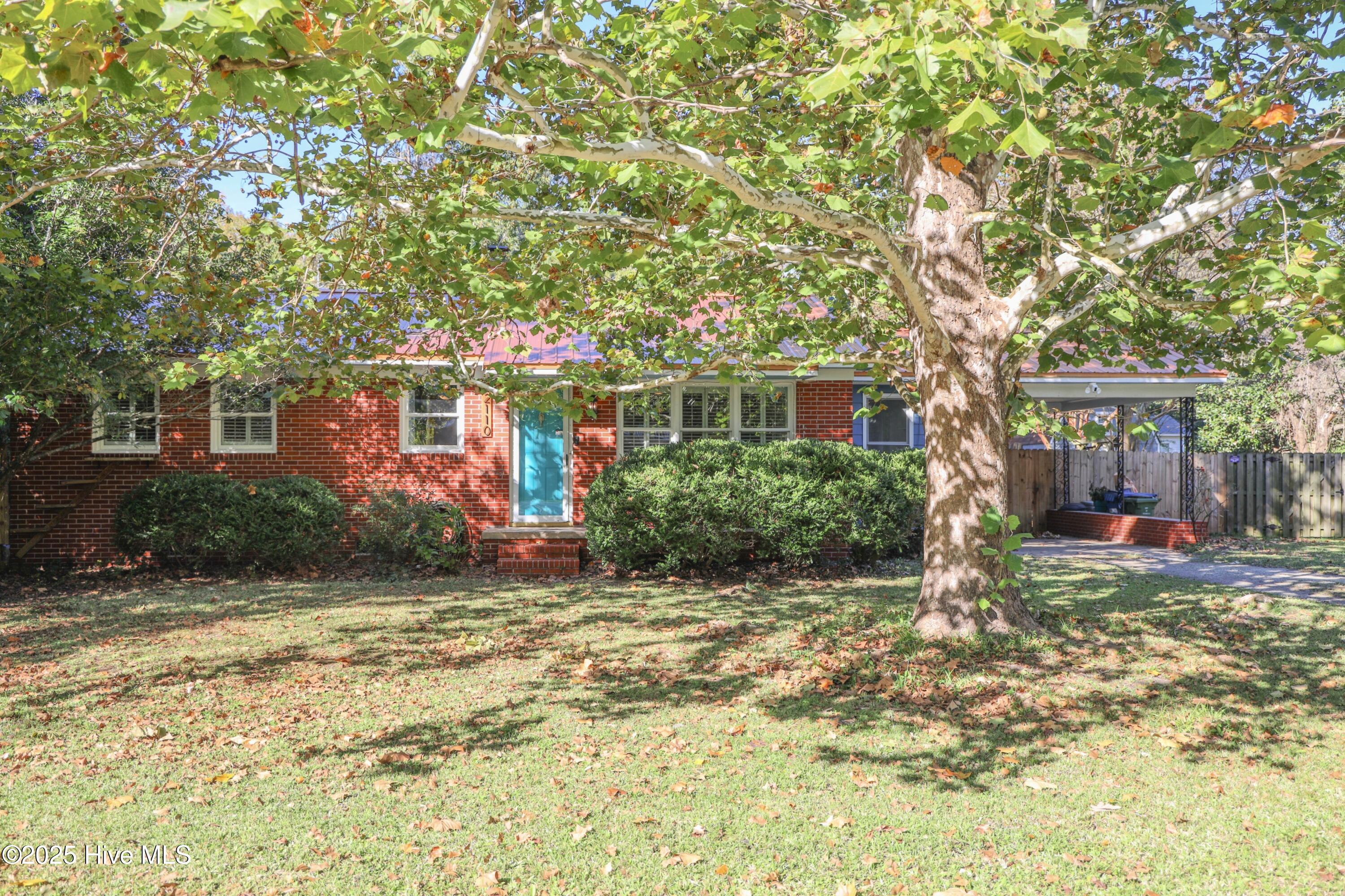 100537869 | Photo 69