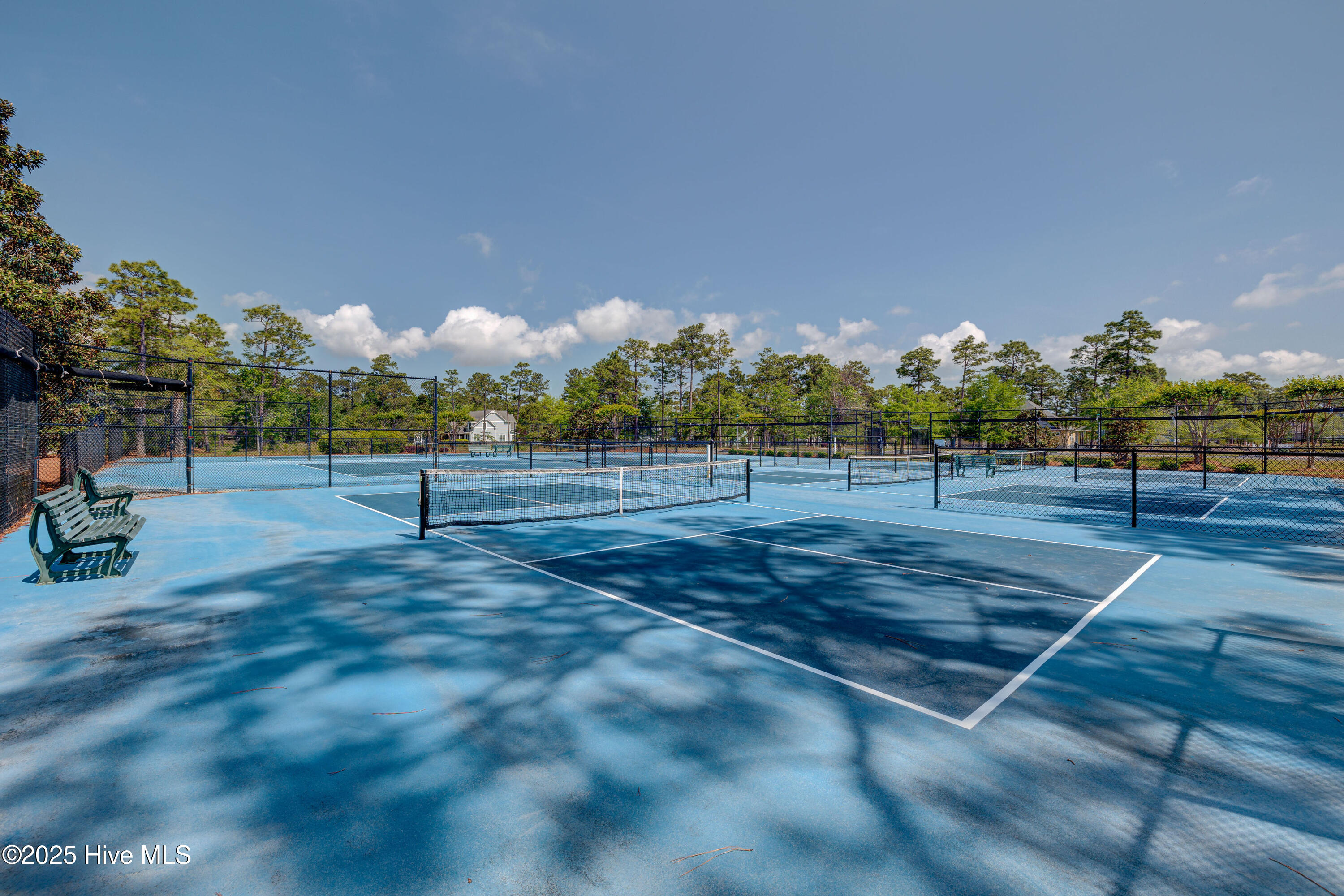 100547497 | Photo 38