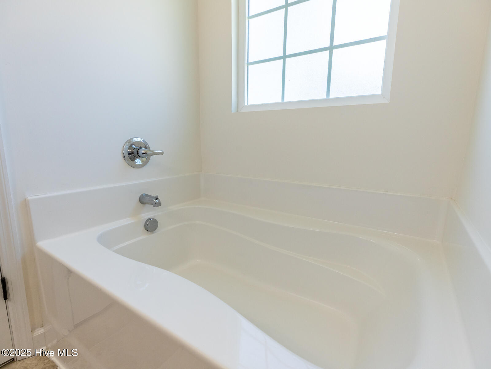 100539425 | Photo 20