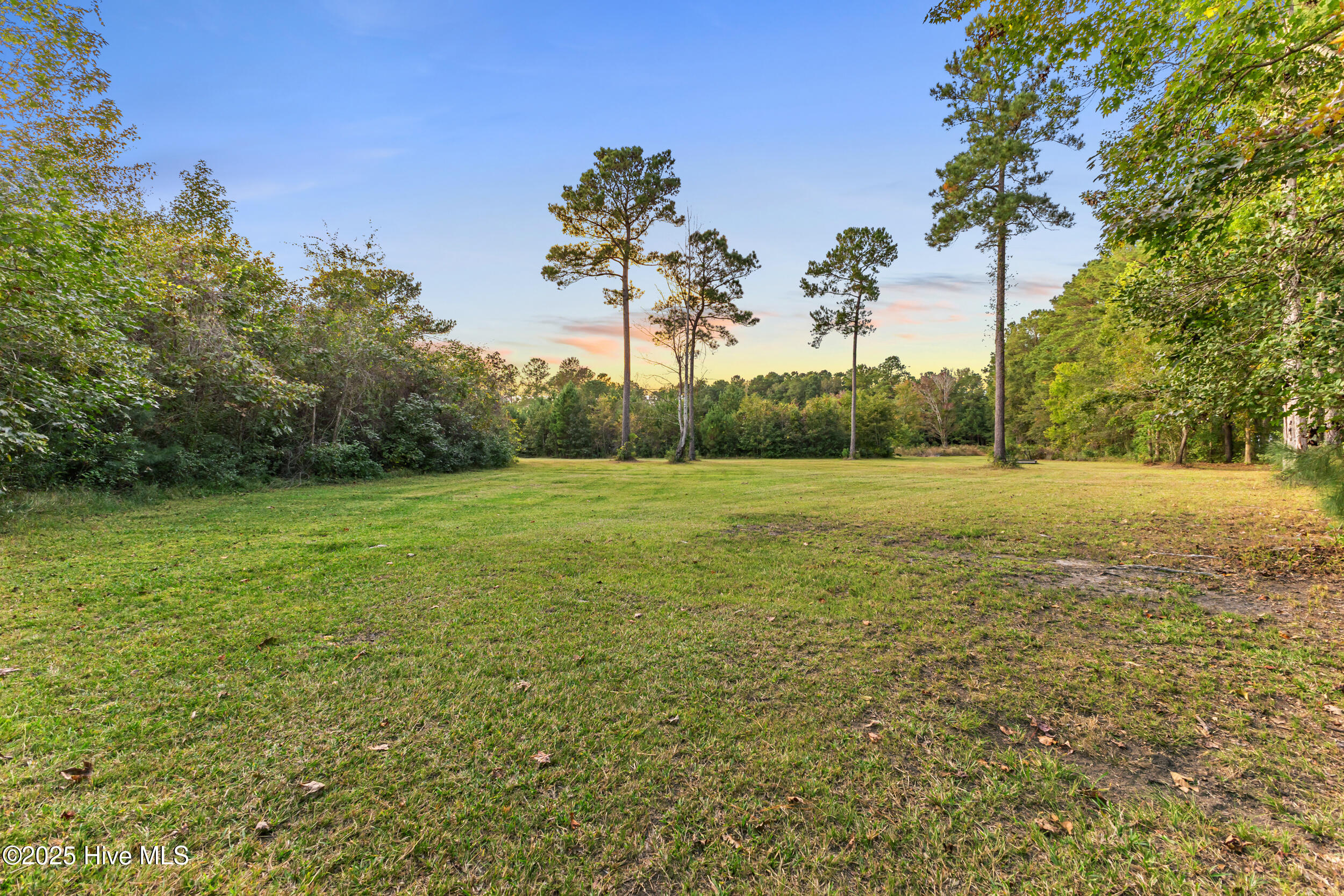 100556103 | Photo 48