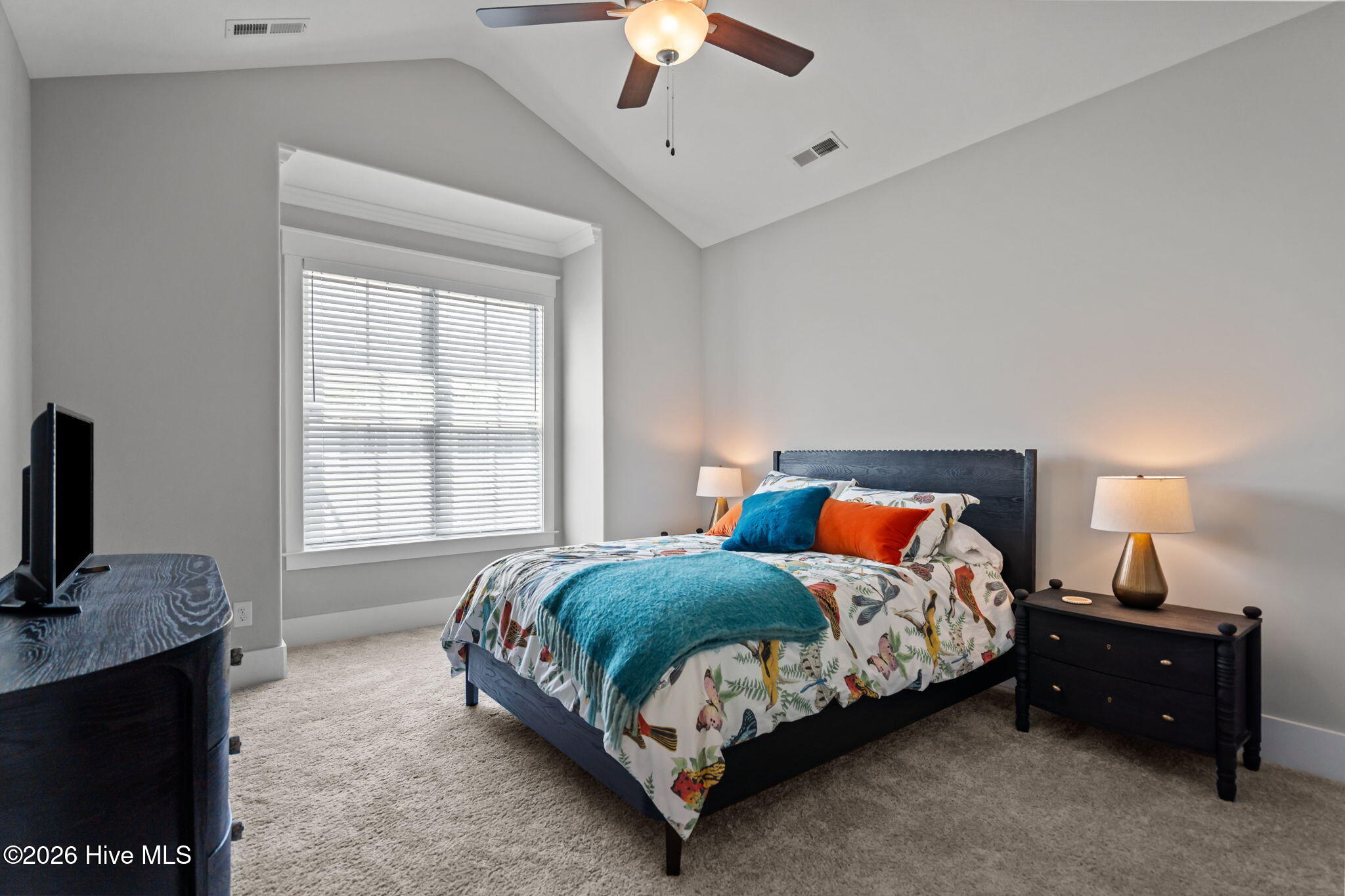 100567182 | Photo 22