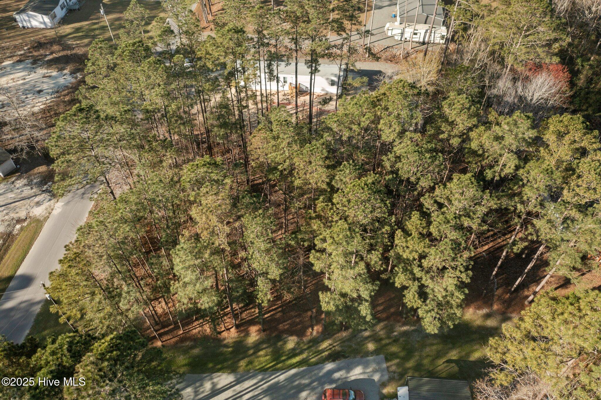 100497609 | Photo 14