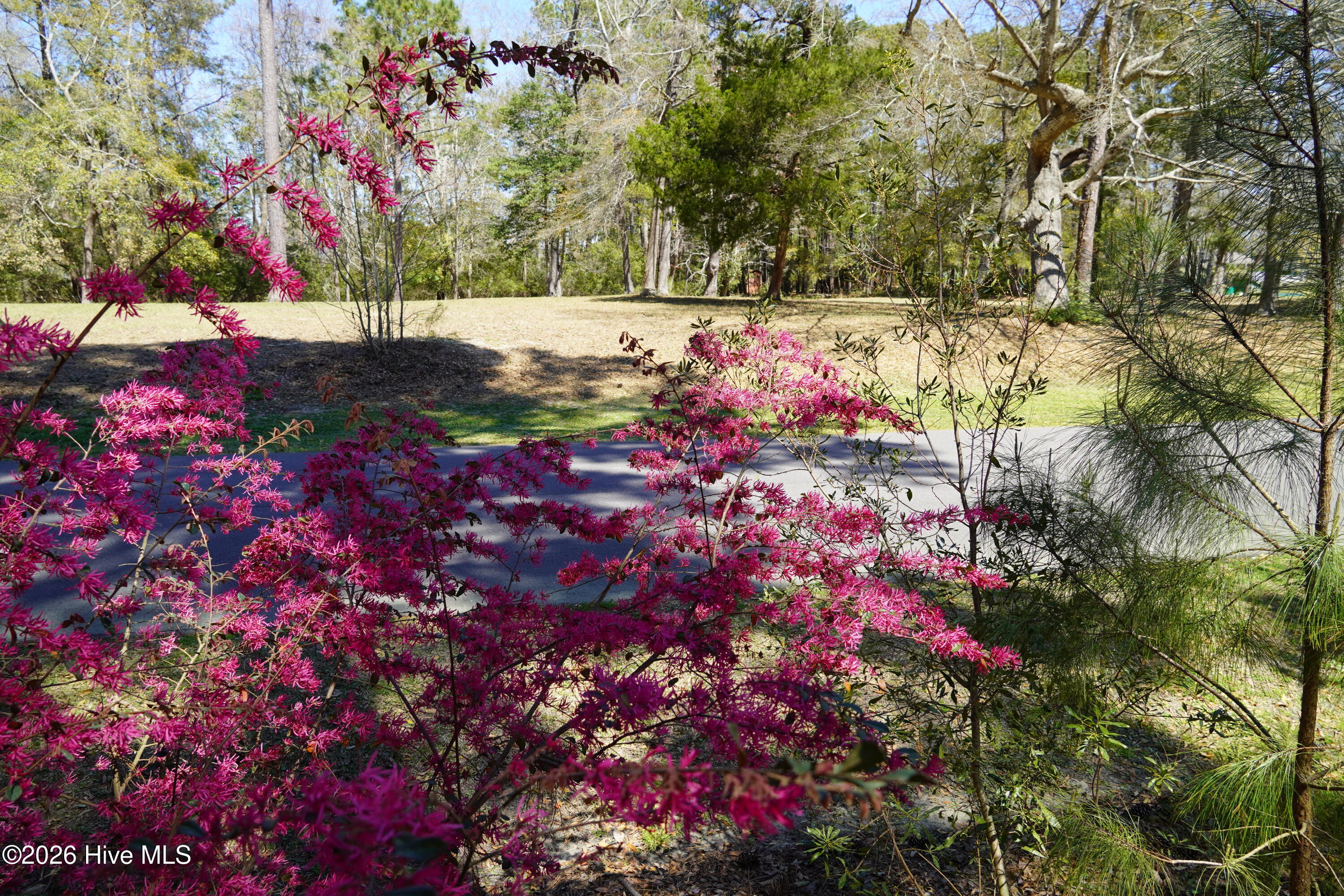 100564752 | Photo 10