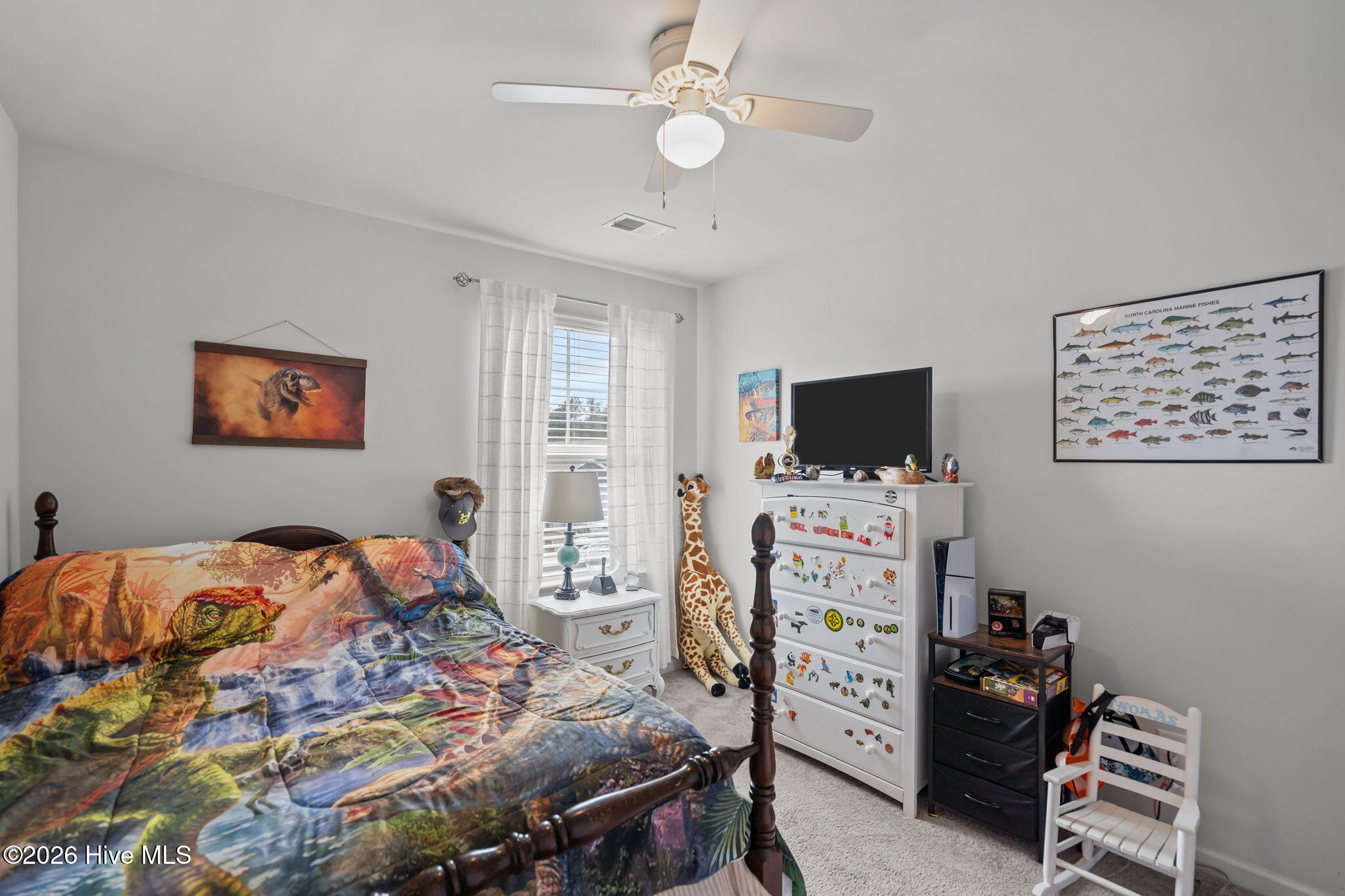 100554763 | Photo 34