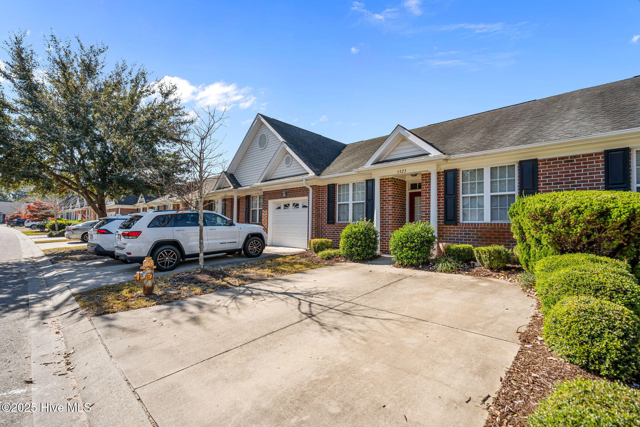 100540244 | Photo 43