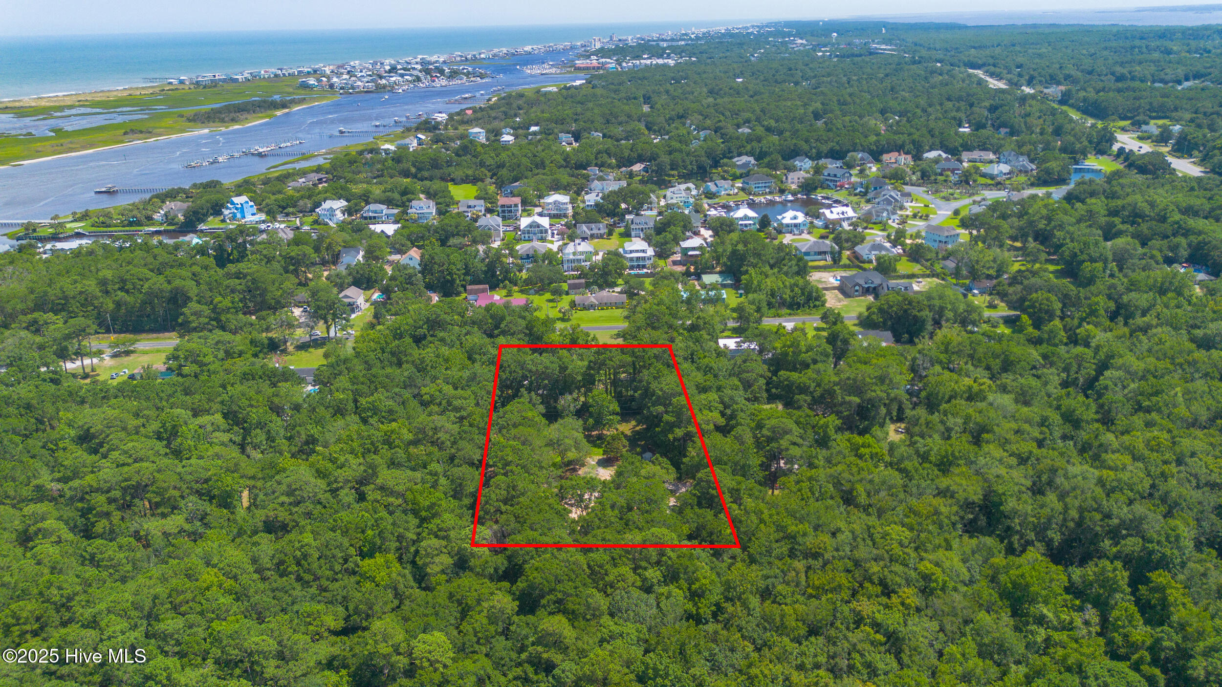 100518046 | Photo 13