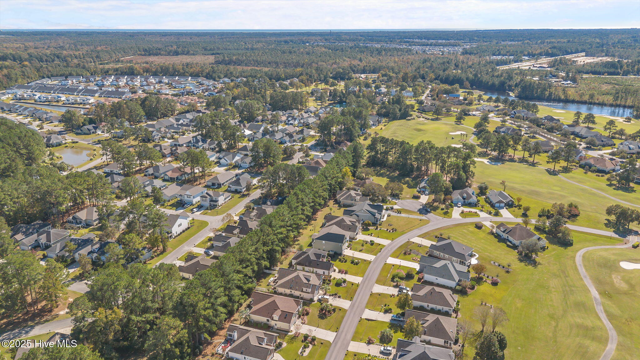 100539449 | Photo 41