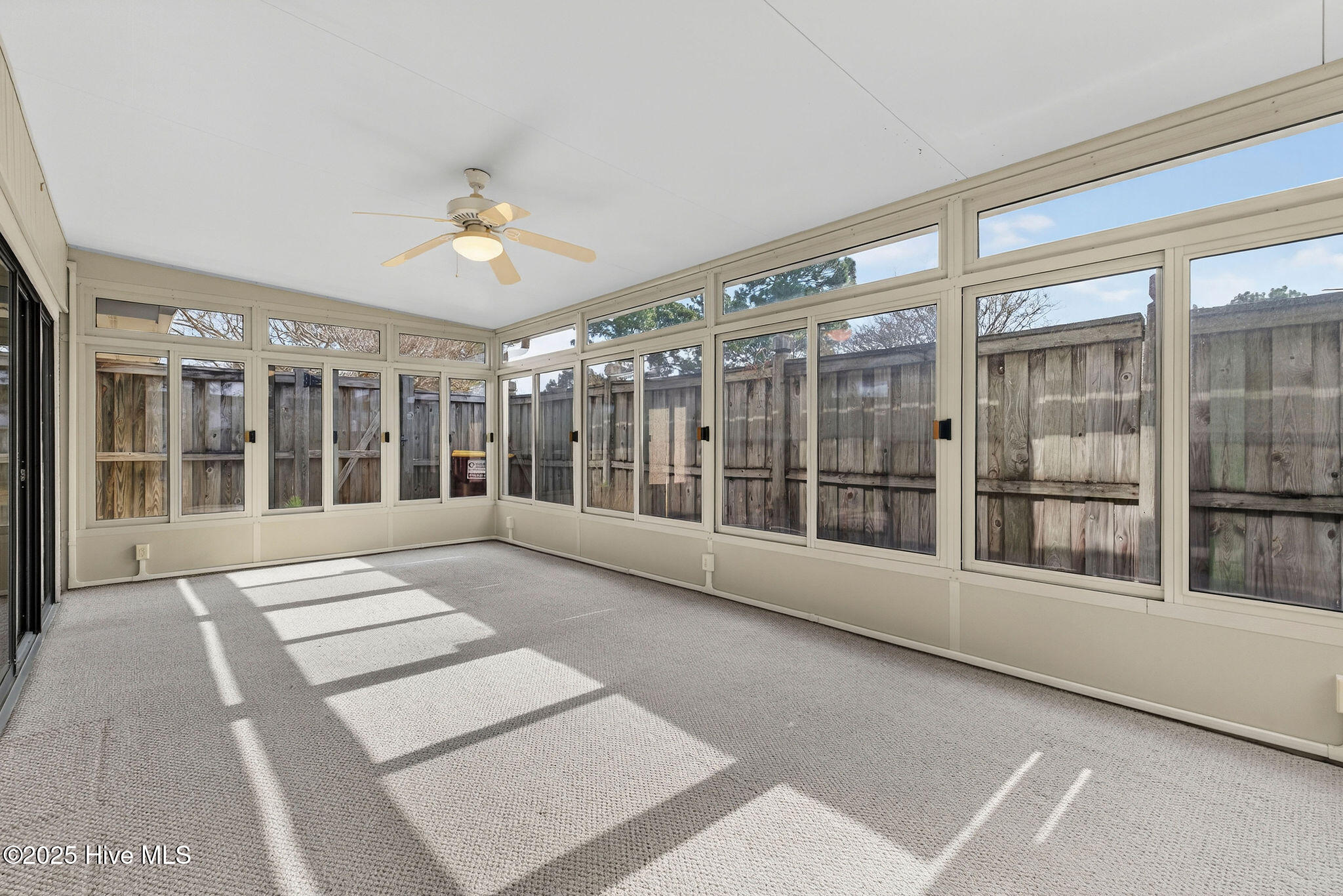 100536798 | Photo 17