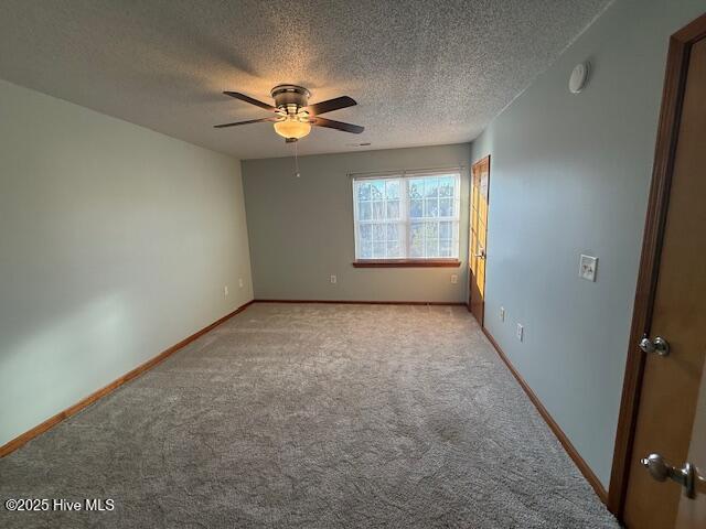 100523436 | Photo 12