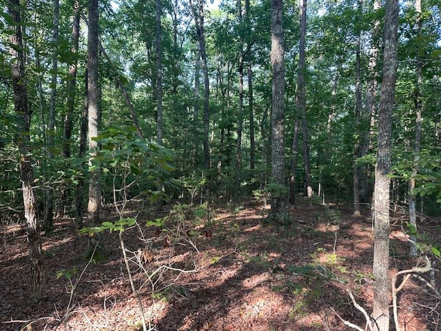 Exterior photo of Lot 208 28 Boulder Creek Road, Murphy, NC 28906. MLS: 100589359
