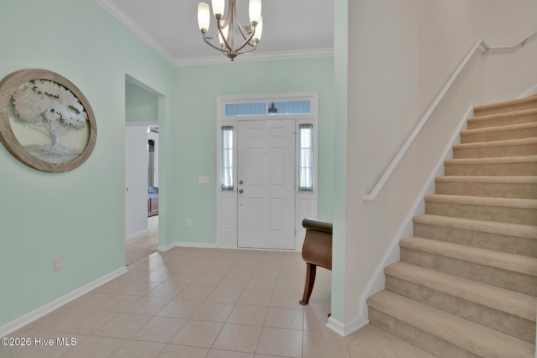 100550349 | Photo 10