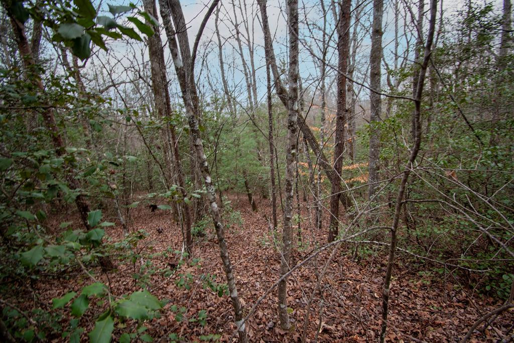 Listing Photo 98500386