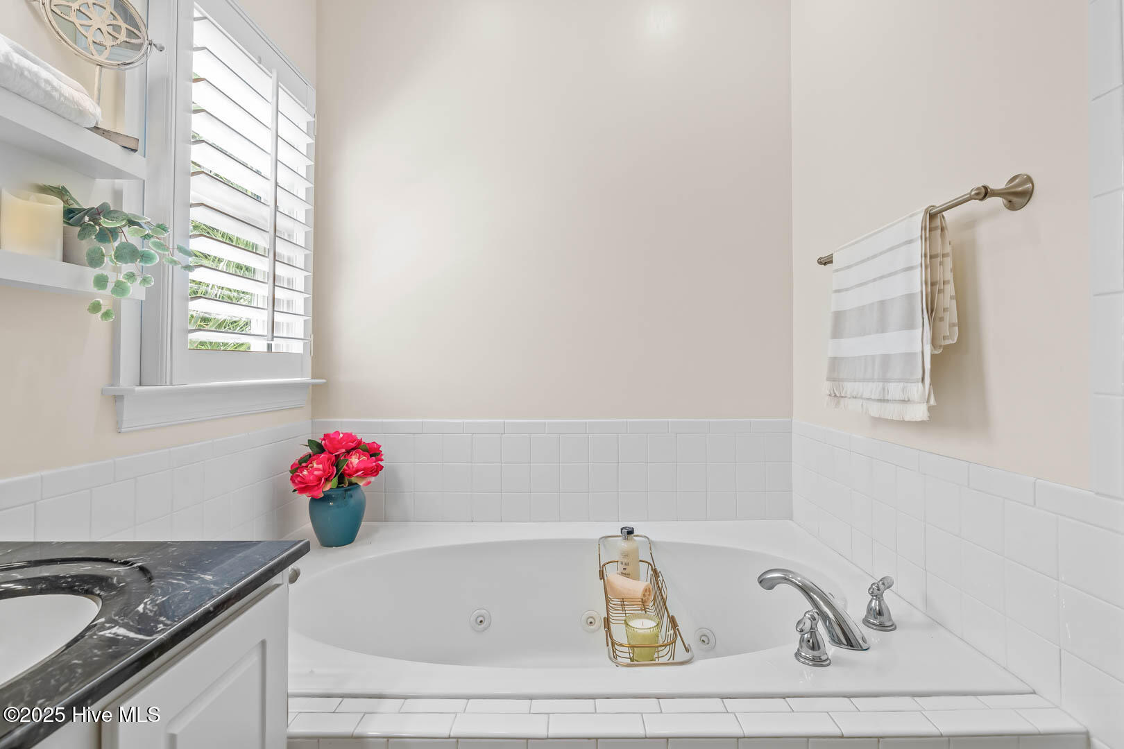 100512903 | Photo 34