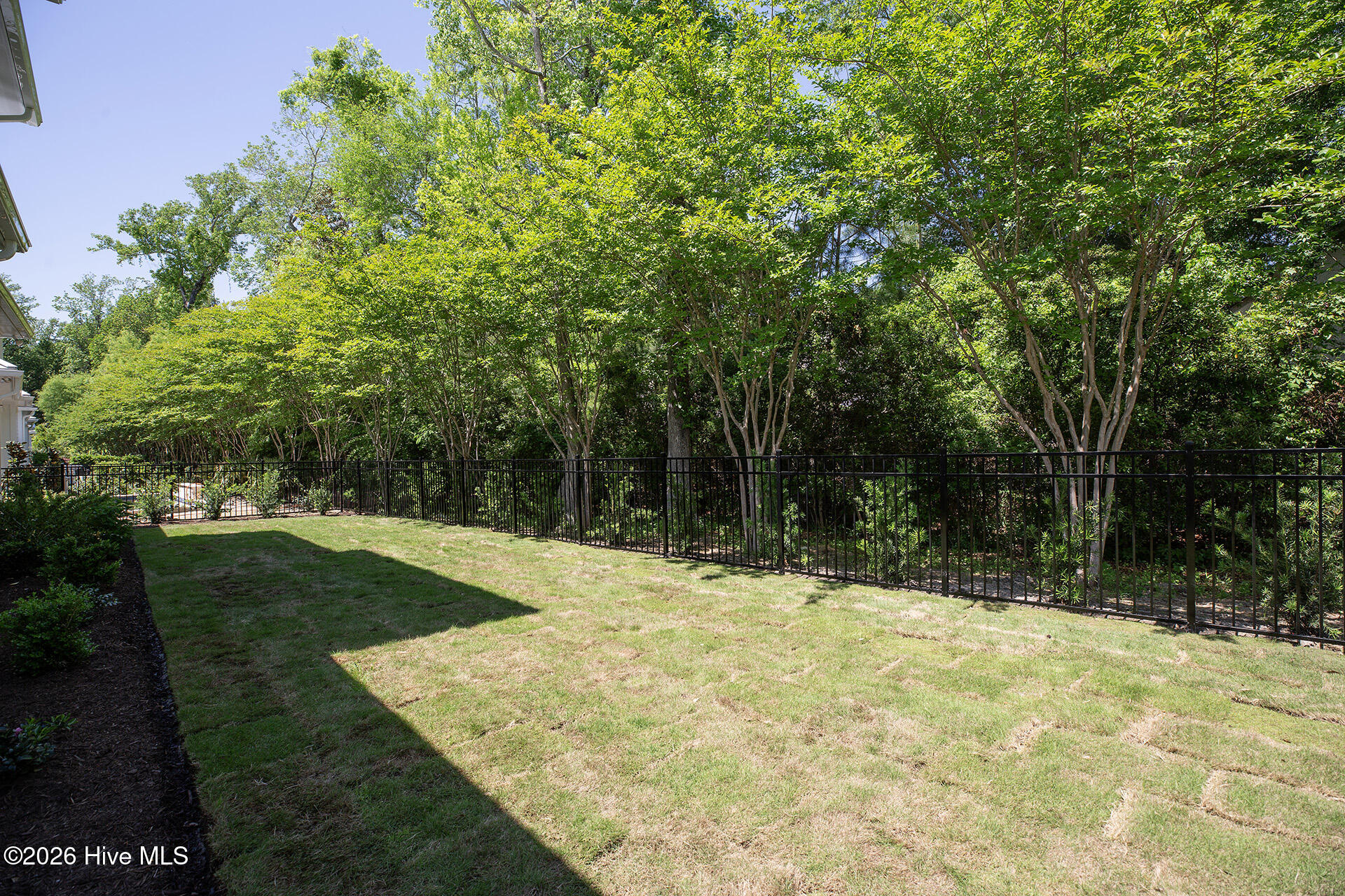 100519914 | Photo 61