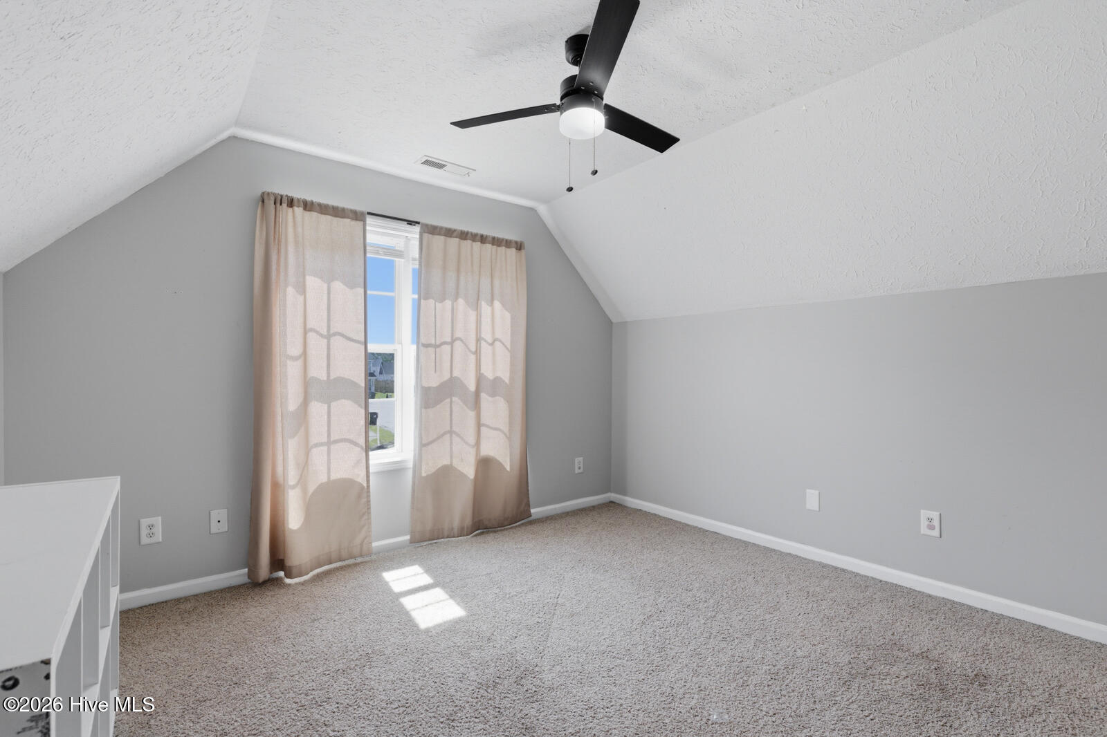 100568997 | Photo 21